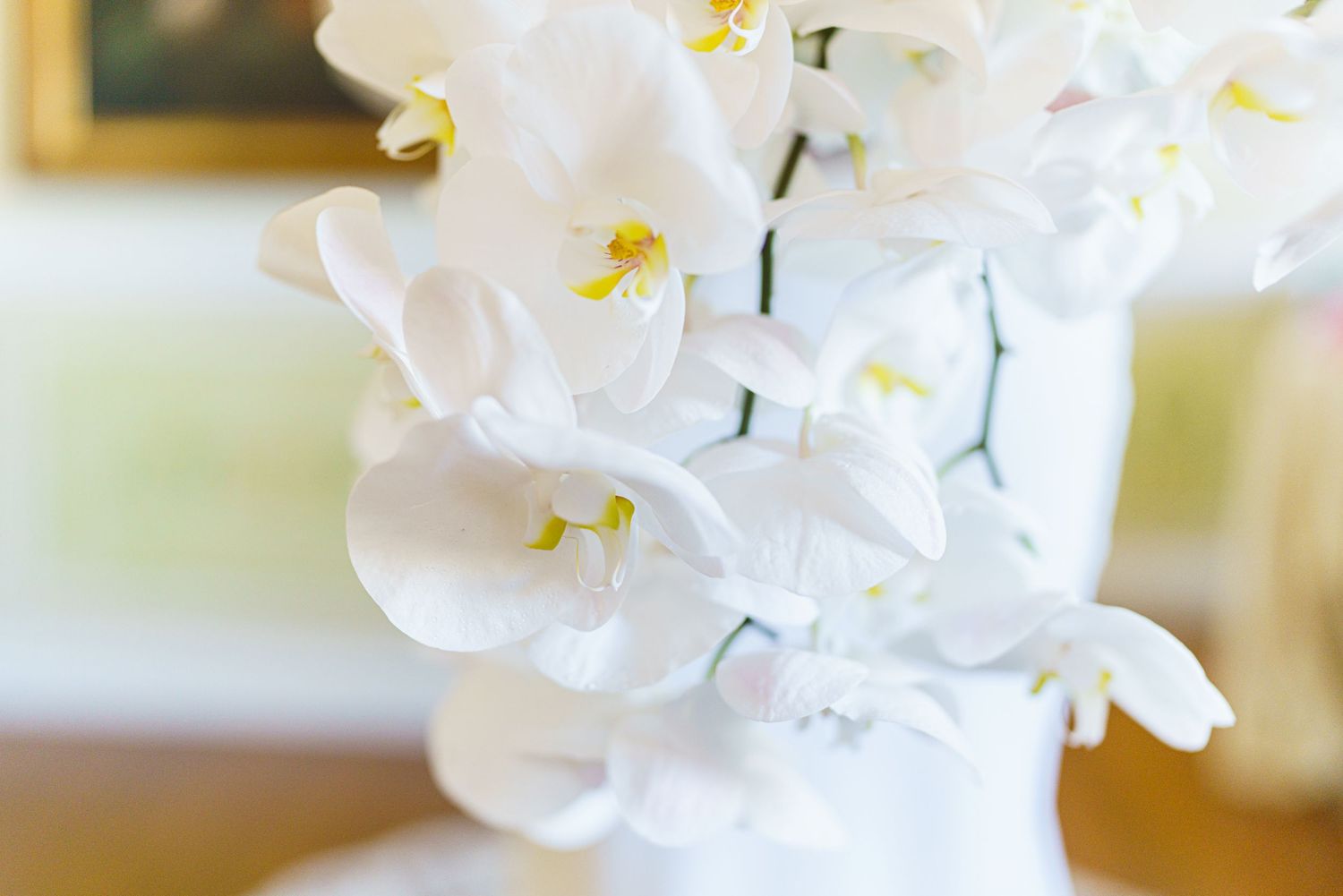 White orchids with yellow centers arranged in ethereal wedding bouquet.