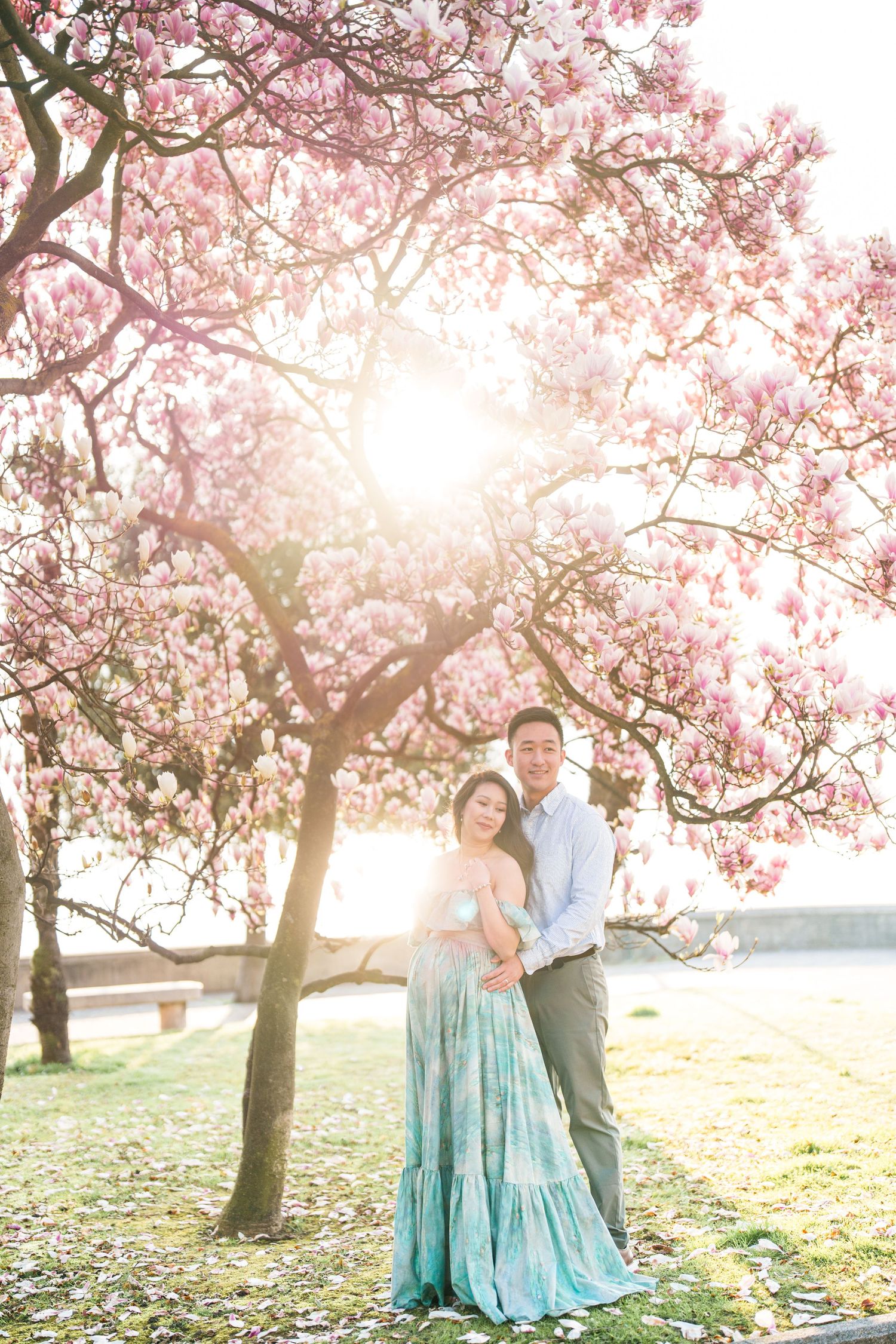 Couple embracing under blooming pink magnolia tree with golden sunlight, woman in teal dress, outdoor spring portrait.