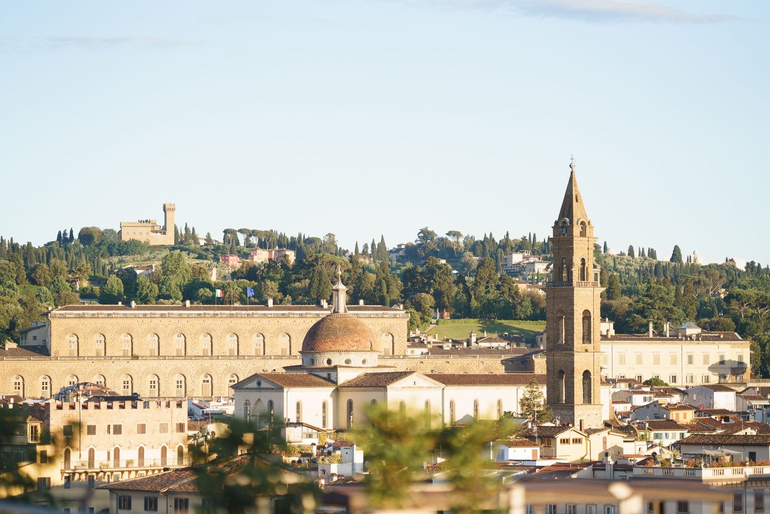 Panoramic view of Florence's historic skyline featuring churches and Renaissance architecture.
