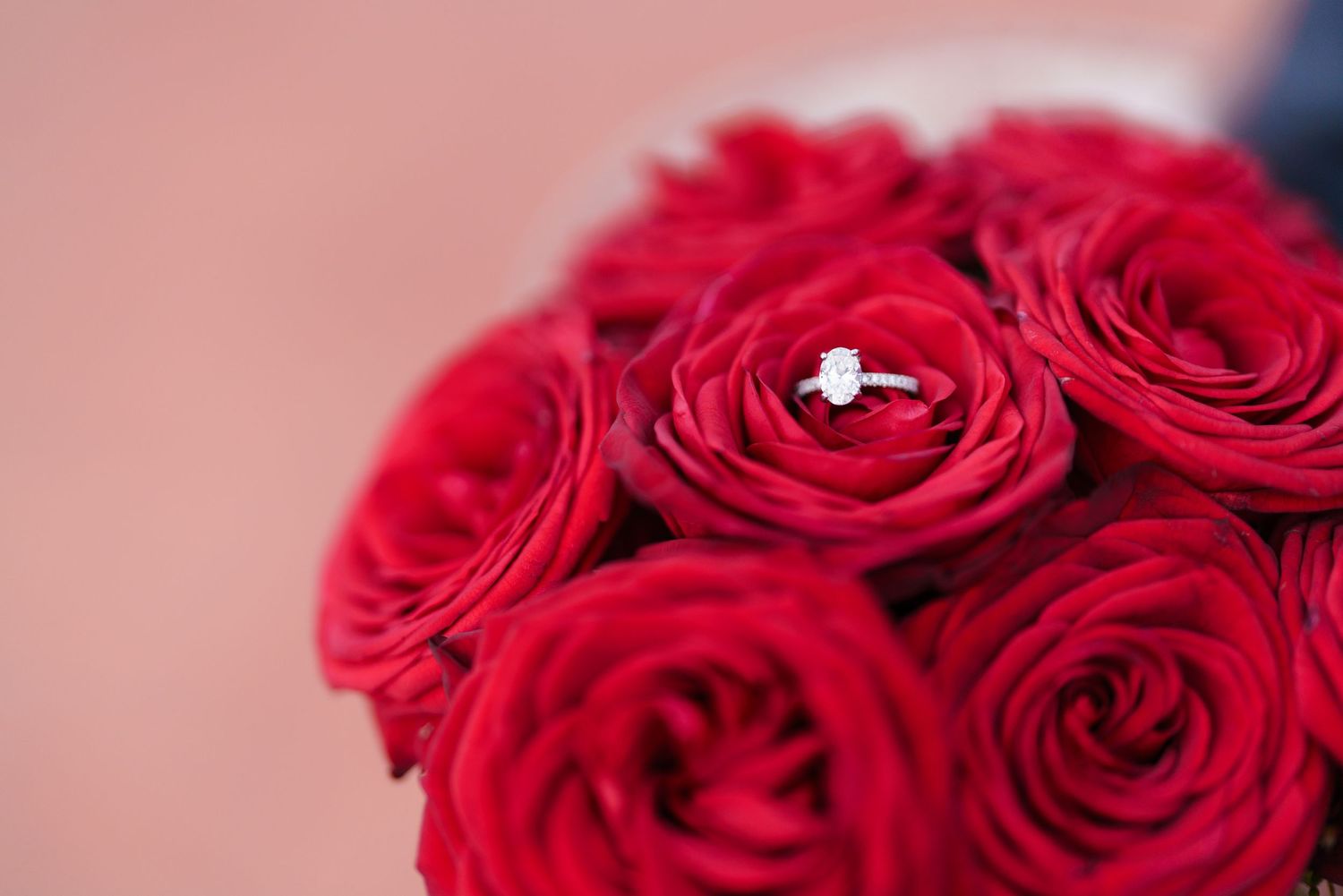 A diamond engagement ring nestled in the center of vibrant red roses in a wedding bouquet.