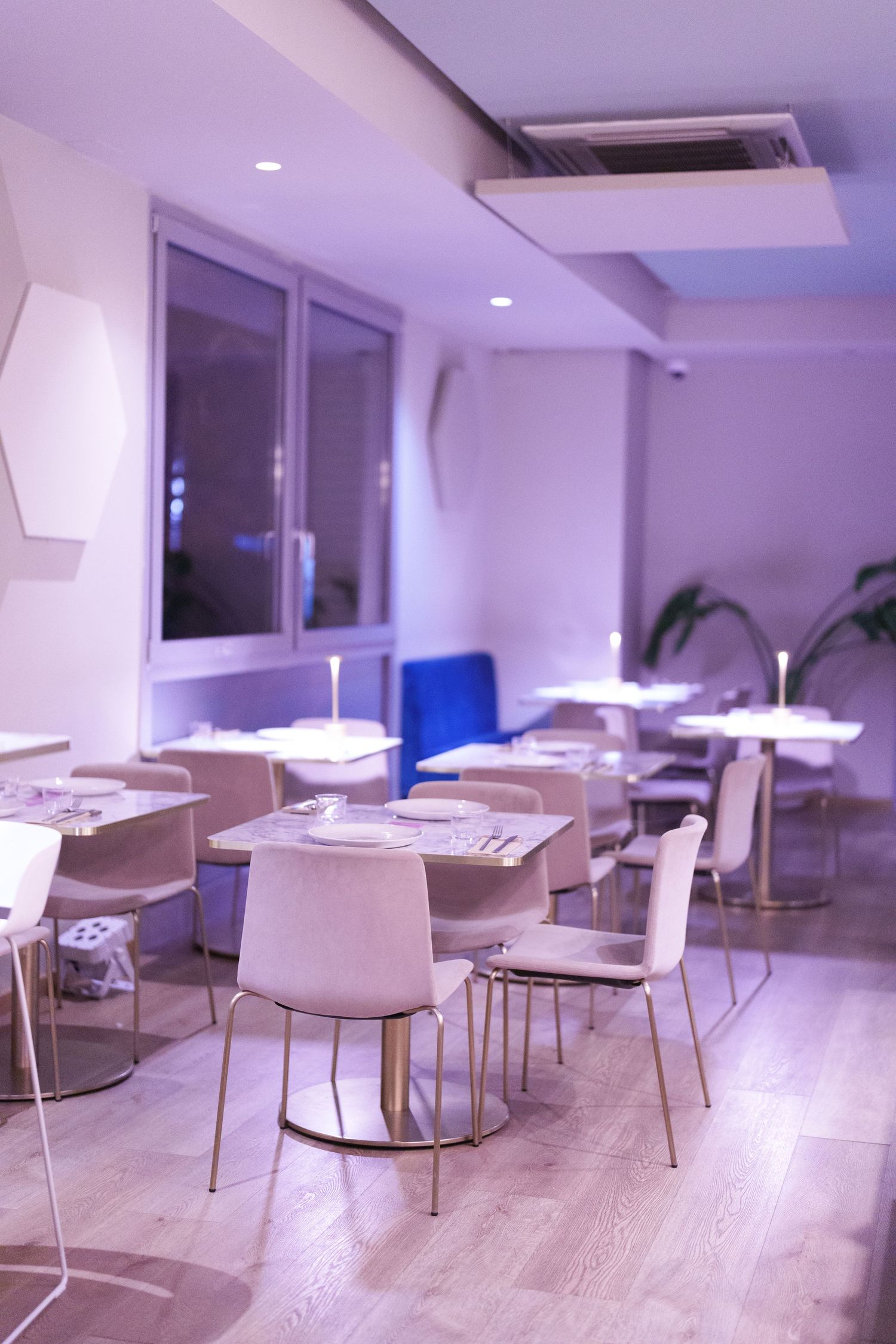 Modern restaurant interior with white chairs, marble tables, and soft purple ambient lighting on light wood floors.