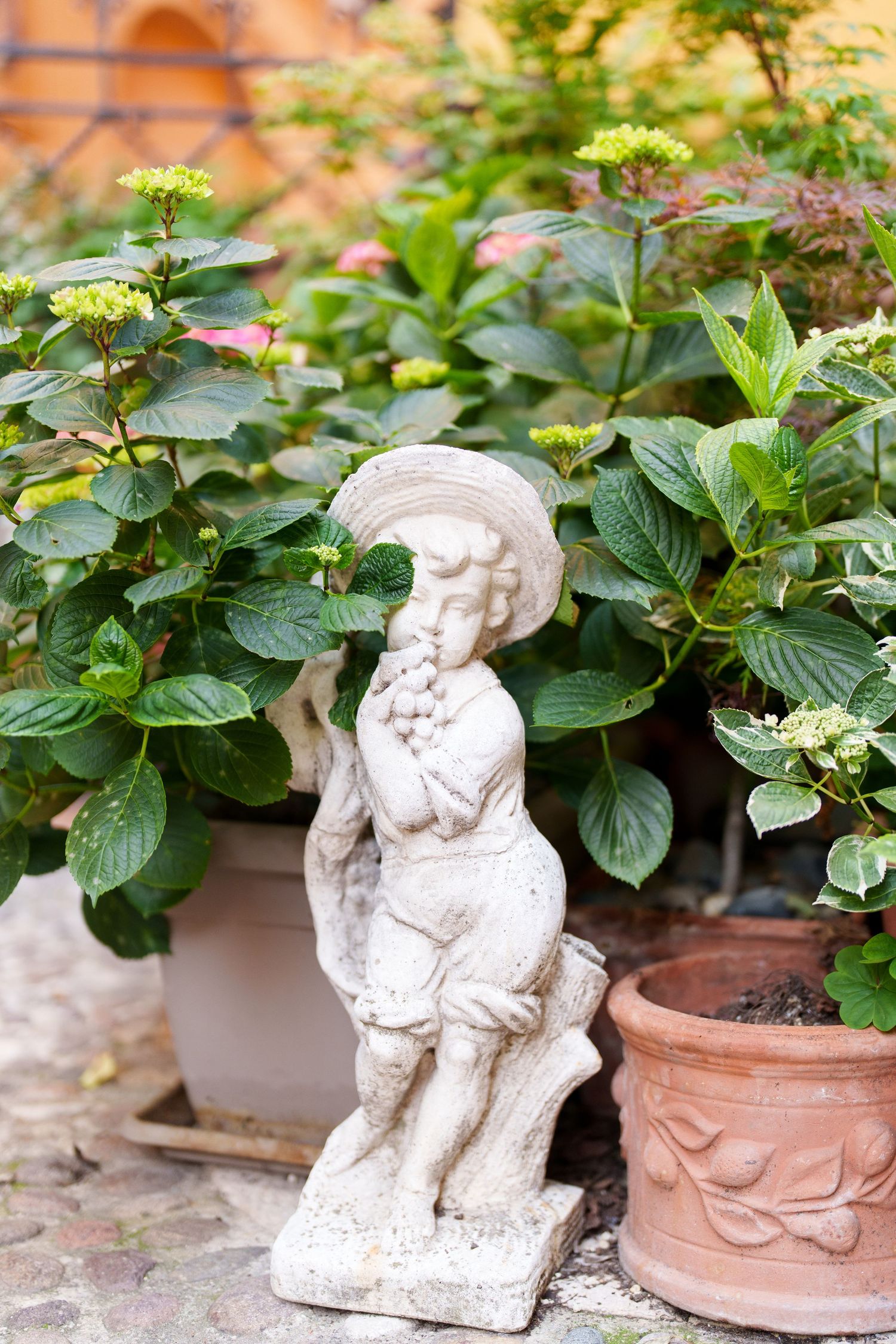 A decorative garden statue of a cherub stands among lush green hydrangea plants and terracotta pots in an outdoor setting.