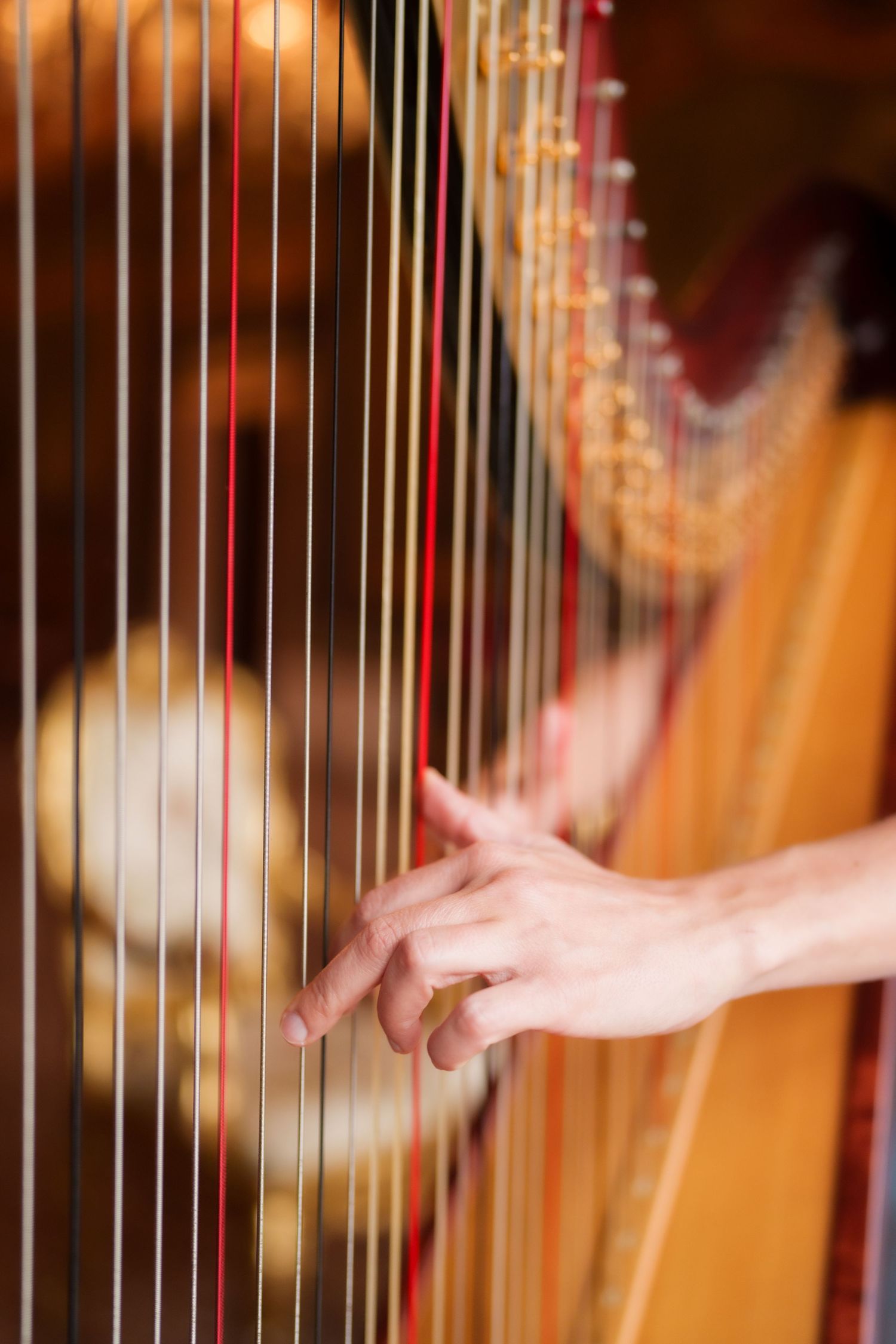 Close-up of hands gracefully playing a golden orchestral harp with elegant string detail.