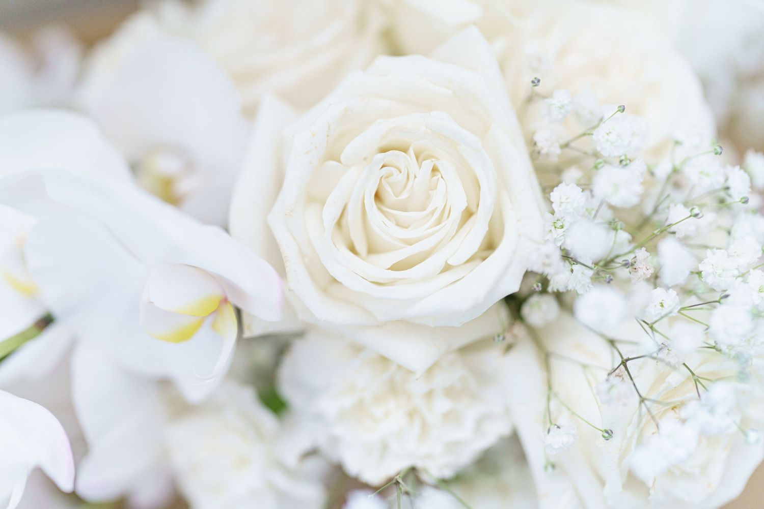 Soft focus detail of white roses with baby's breath in romantic wedding bouquet.