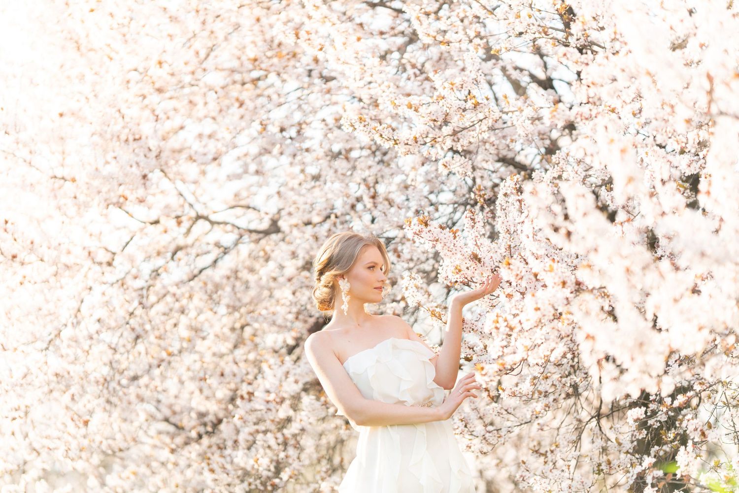 Wedding photographer Como