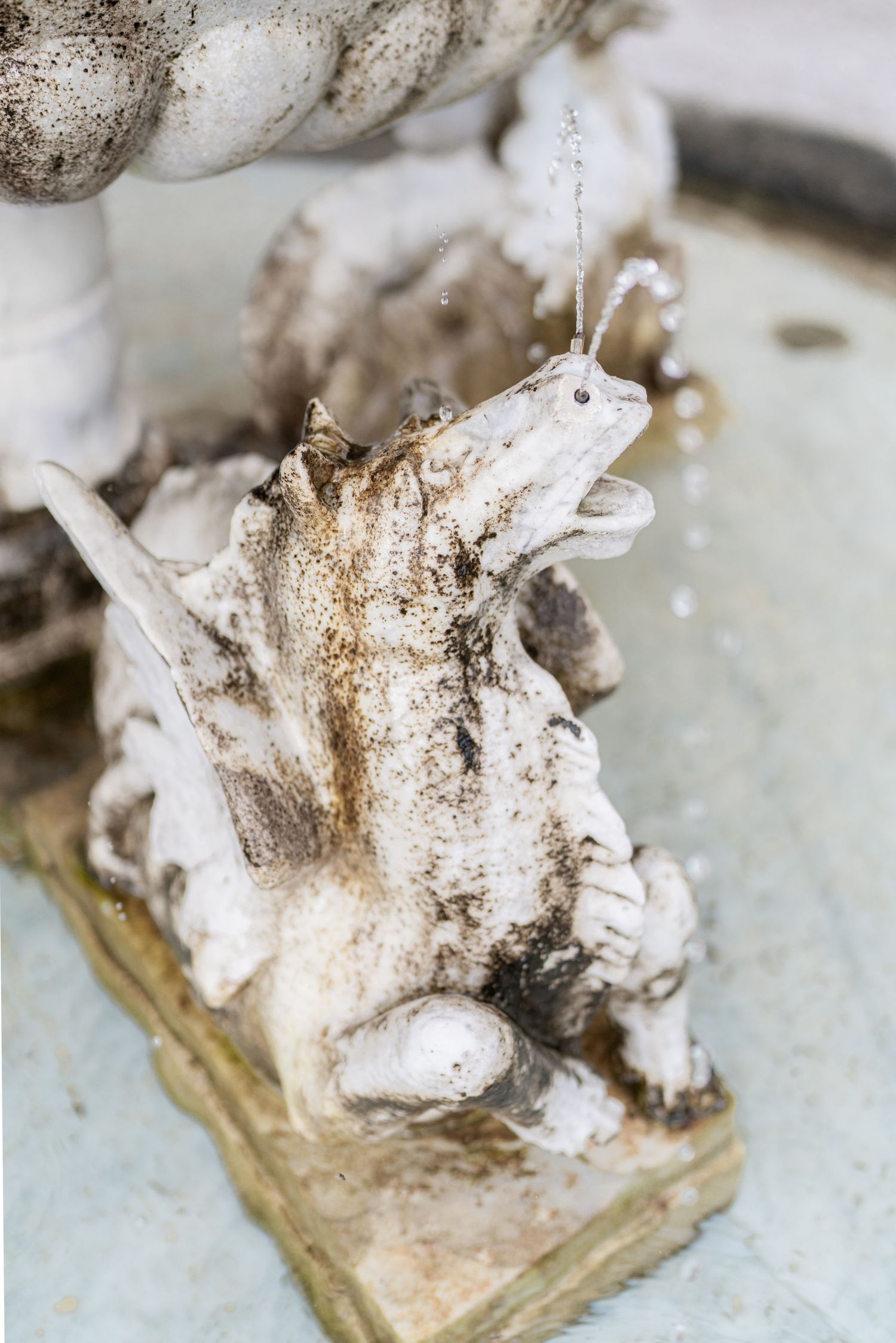Closeup sequence of melting whipped cream or meringue on a light colored surface showing progressive stages of dissolution.