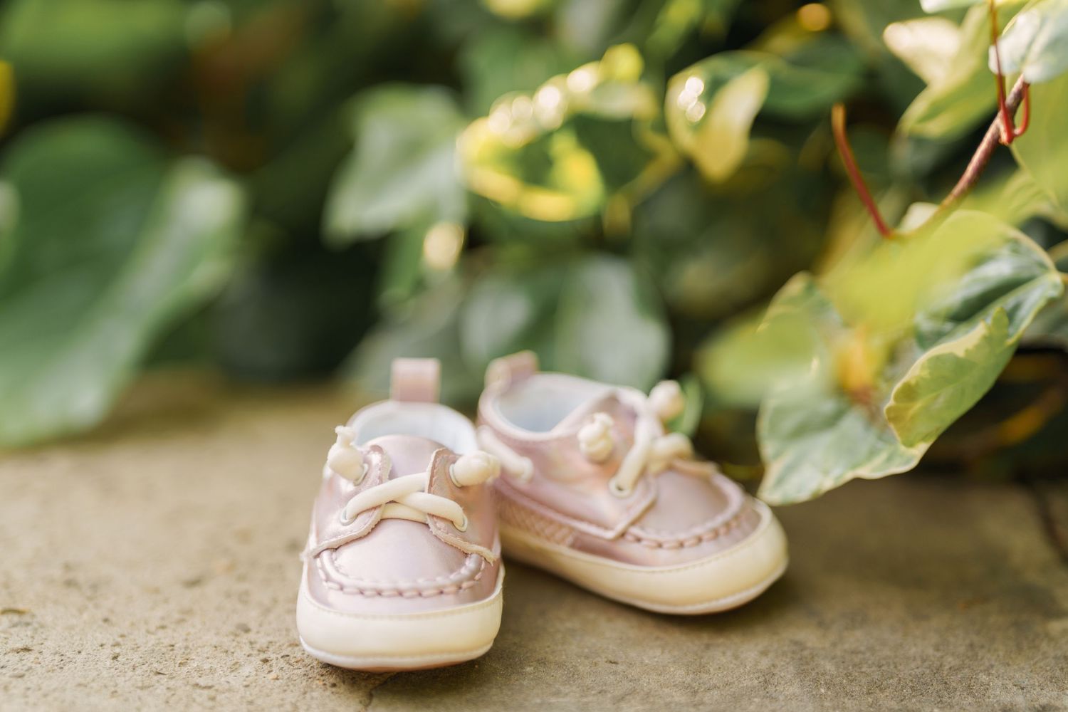 Tiny pink baby boat shoes placed on a stone surface with green leafy plants in the background.