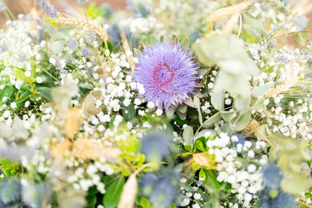 Delicate purple and white wildflowers blooming in a sunlit garden setting.