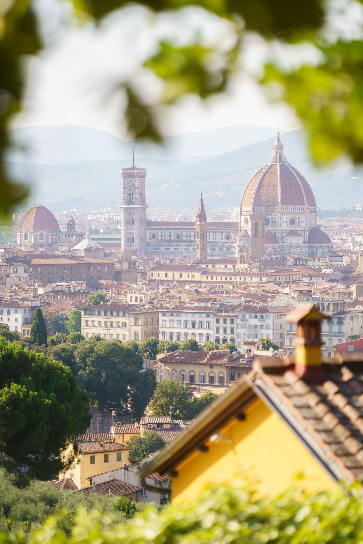 Panoramic view of Florence skyline featuring the iconic Duomo cathedral dome framed by green leaves, Italy.