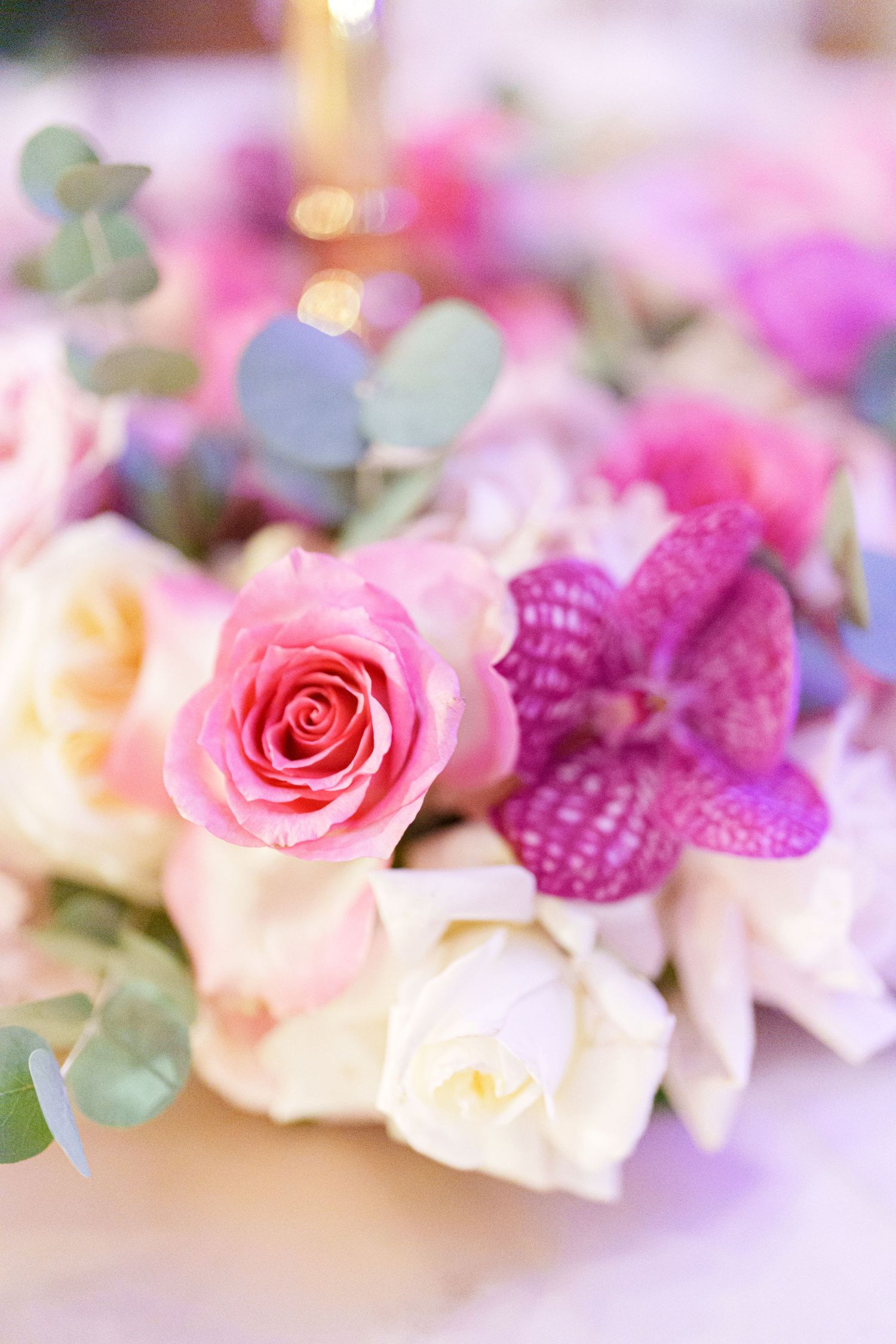 Close-up of delicate pink roses and purple orchids arranged with soft focus and bokeh lighting effects.