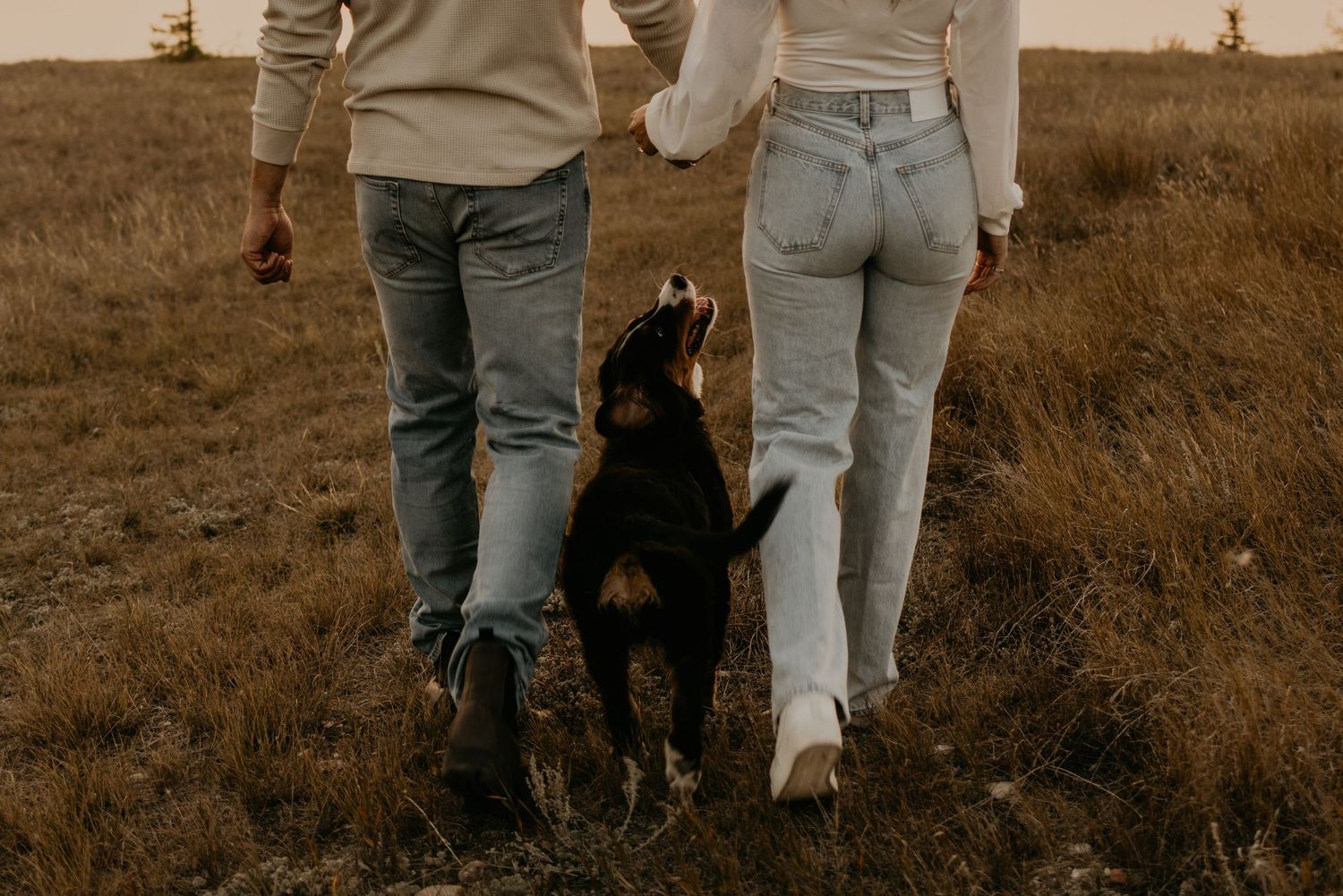 Cropped view of couples legs walking together through a rustic outdoor setting at sunset.
