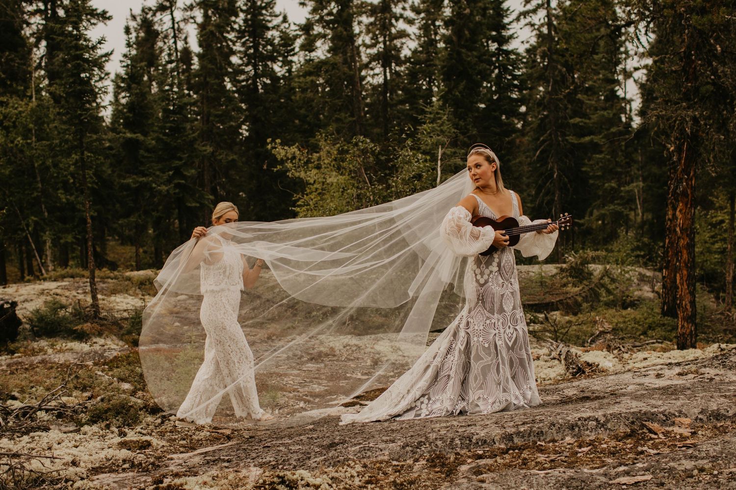 A bride's veil flows dramatically in the wind against a backdrop of evergreen trees.