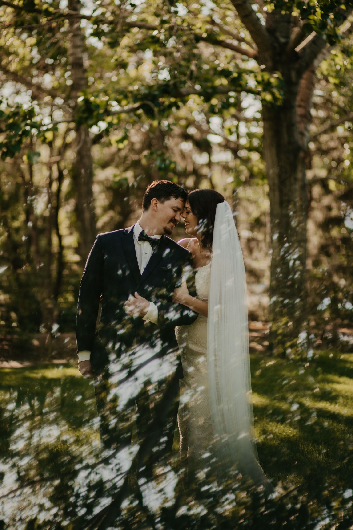 A romantic wedding portrait showing a couple embracing in a sunlit forest setting with dappled light.
