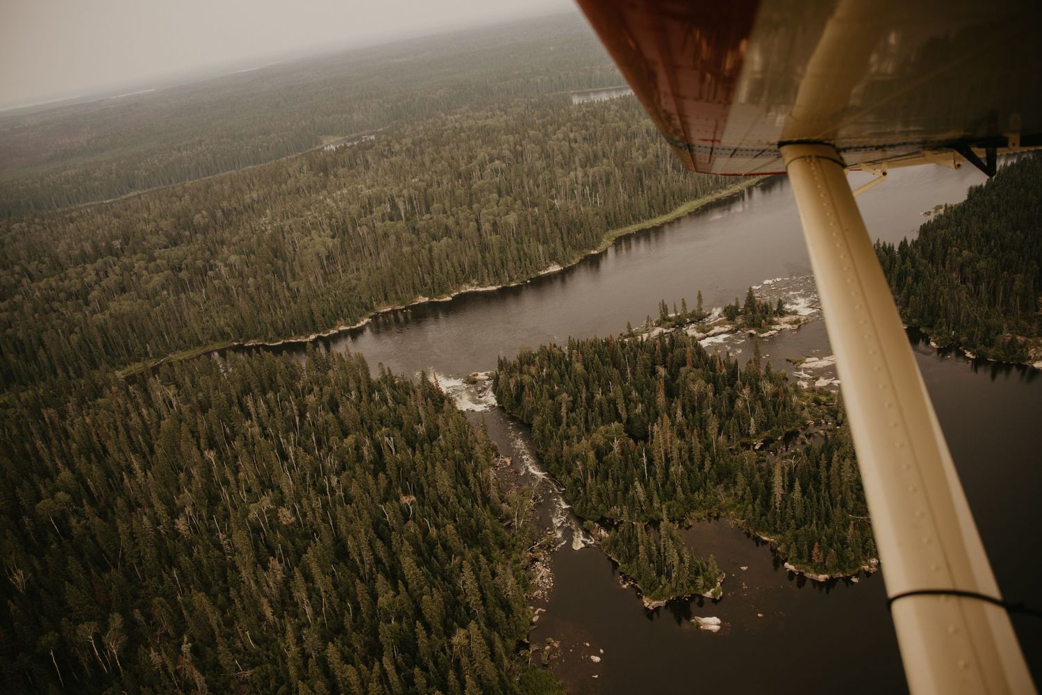 Aerial view of a lake surrounded by dense forest from small aircraft wing perspective.