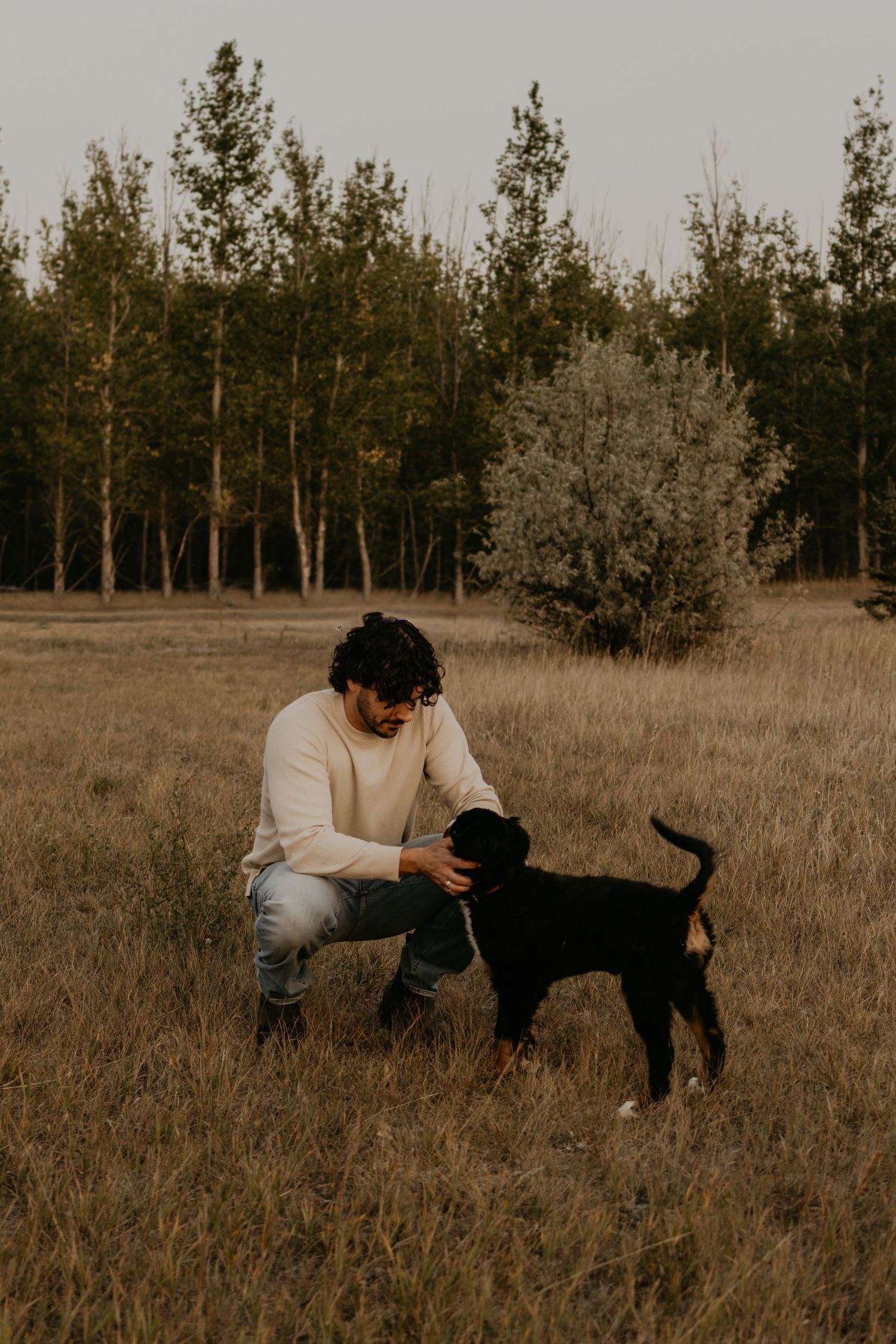 In a golden autumn field with trees, someone in a cream sweater crouches down to pet a black dog at sunset.