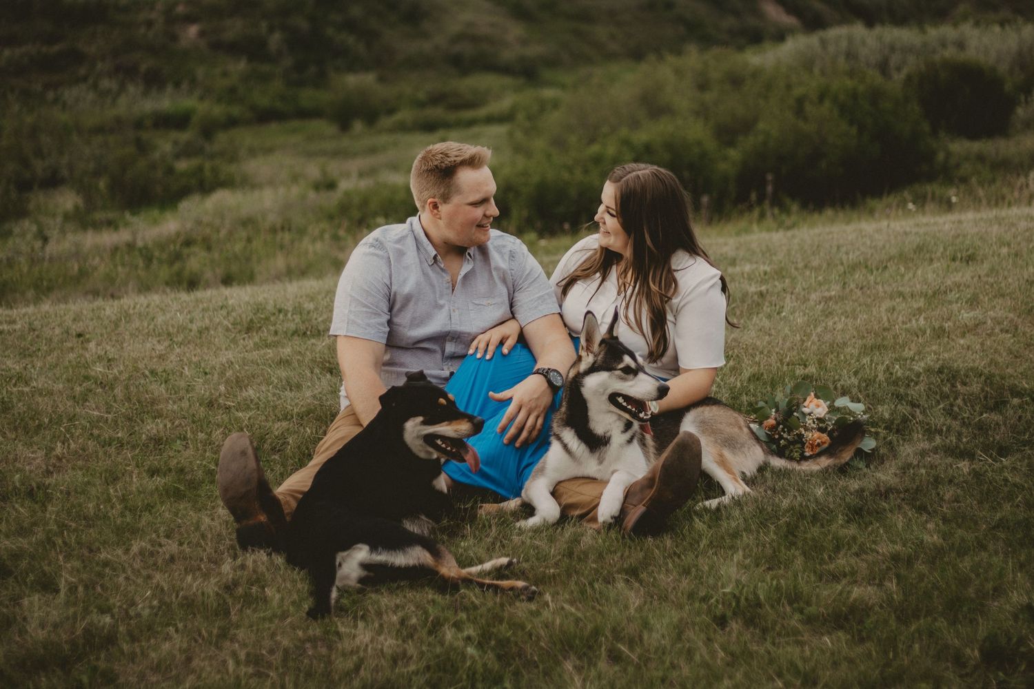 A couple sits in a grassy field with their dogs, enjoying a relaxed outdoor moment together.