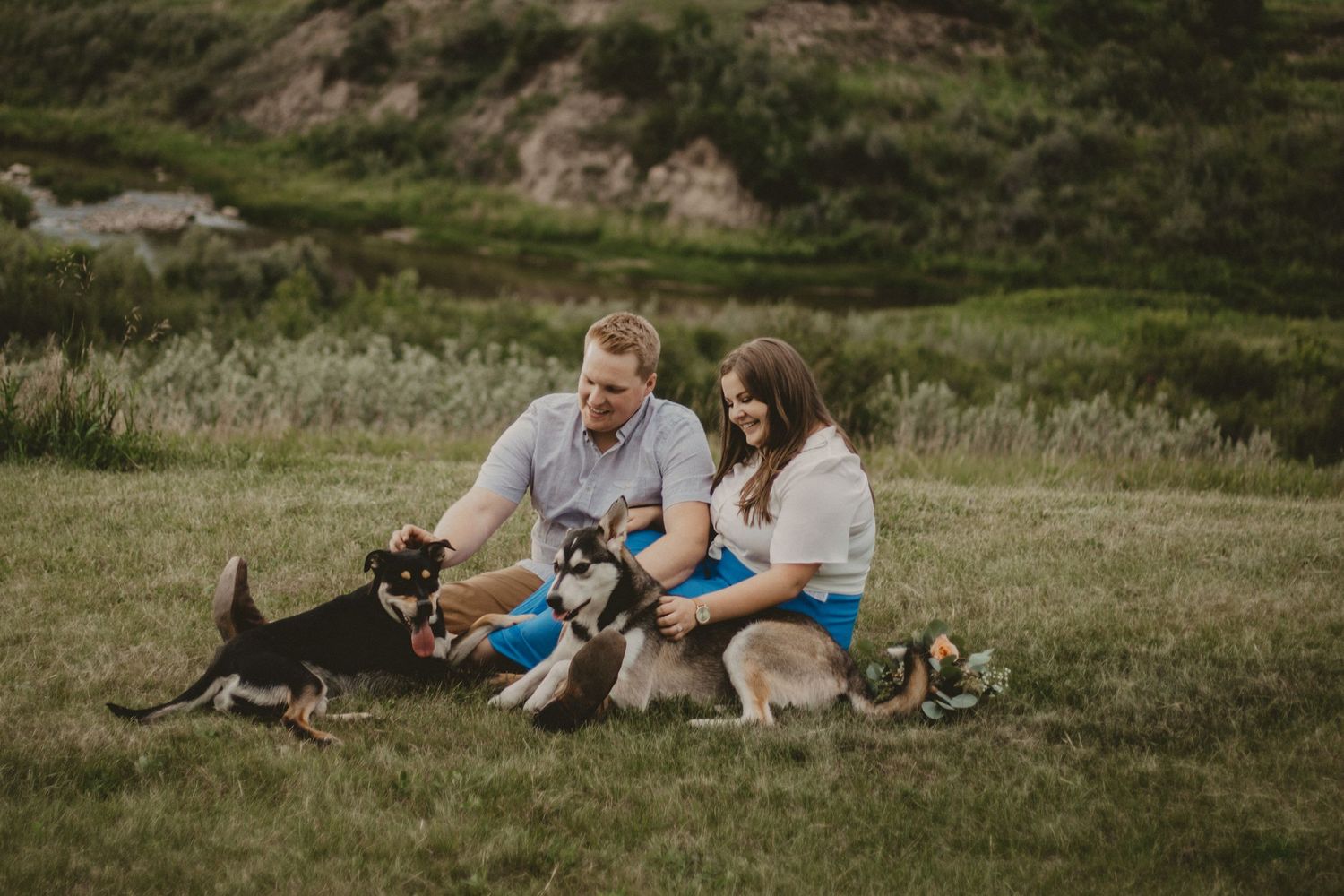 Dogs playfully join a couple during their outdoor photoshoot on a hillside meadow.