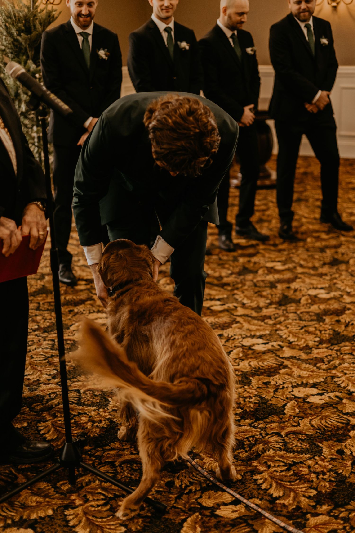 A golden retriever shares a moment with wedding party members in formal attire.