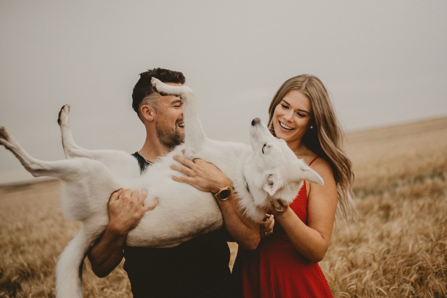 A couple holds their white dogs while standing in a golden field during sunset.