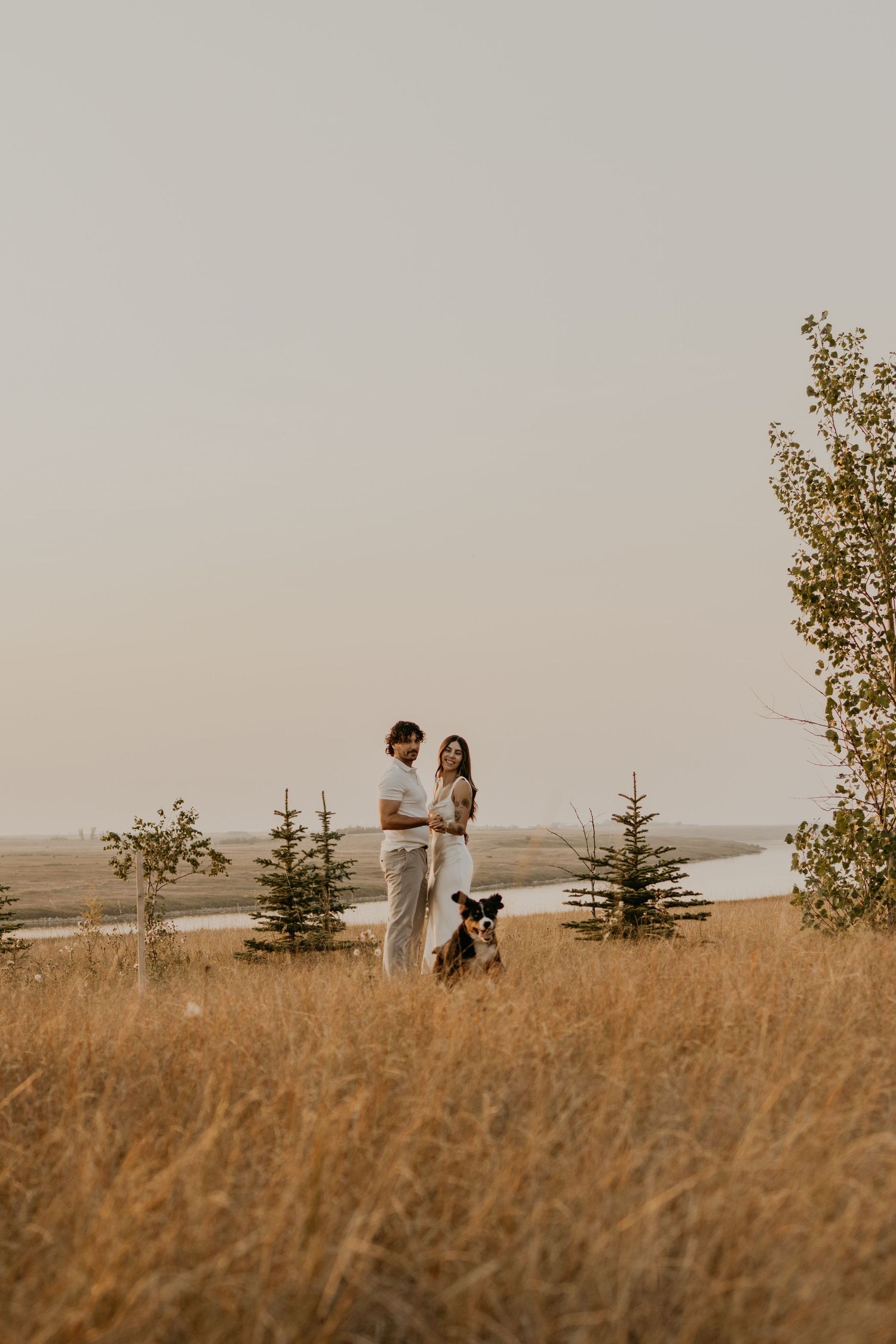 A couple stands in a golden field with evergreen trees and their dog during sunset.