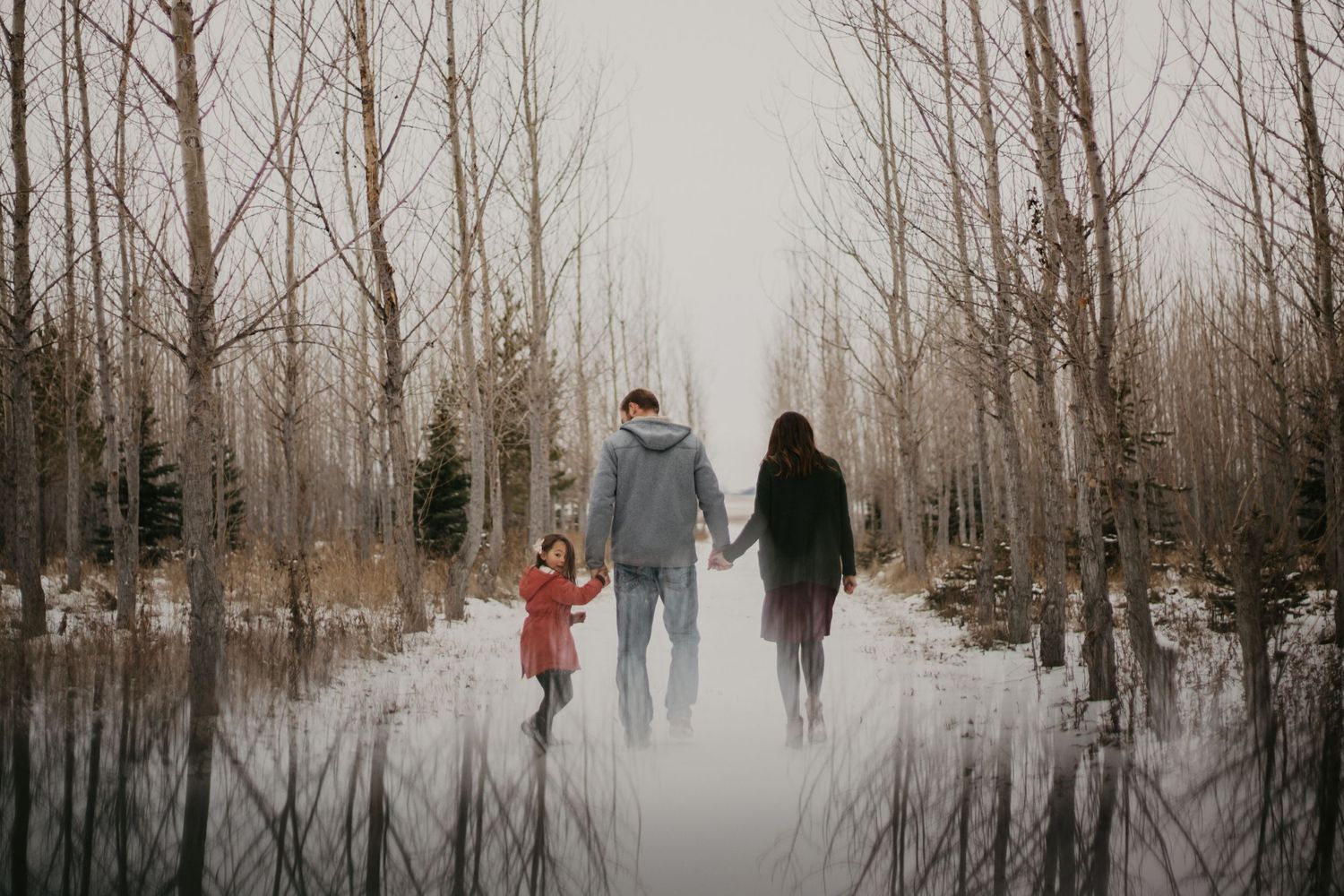 A family walks hand in hand down a misty winter path lined with bare trees.