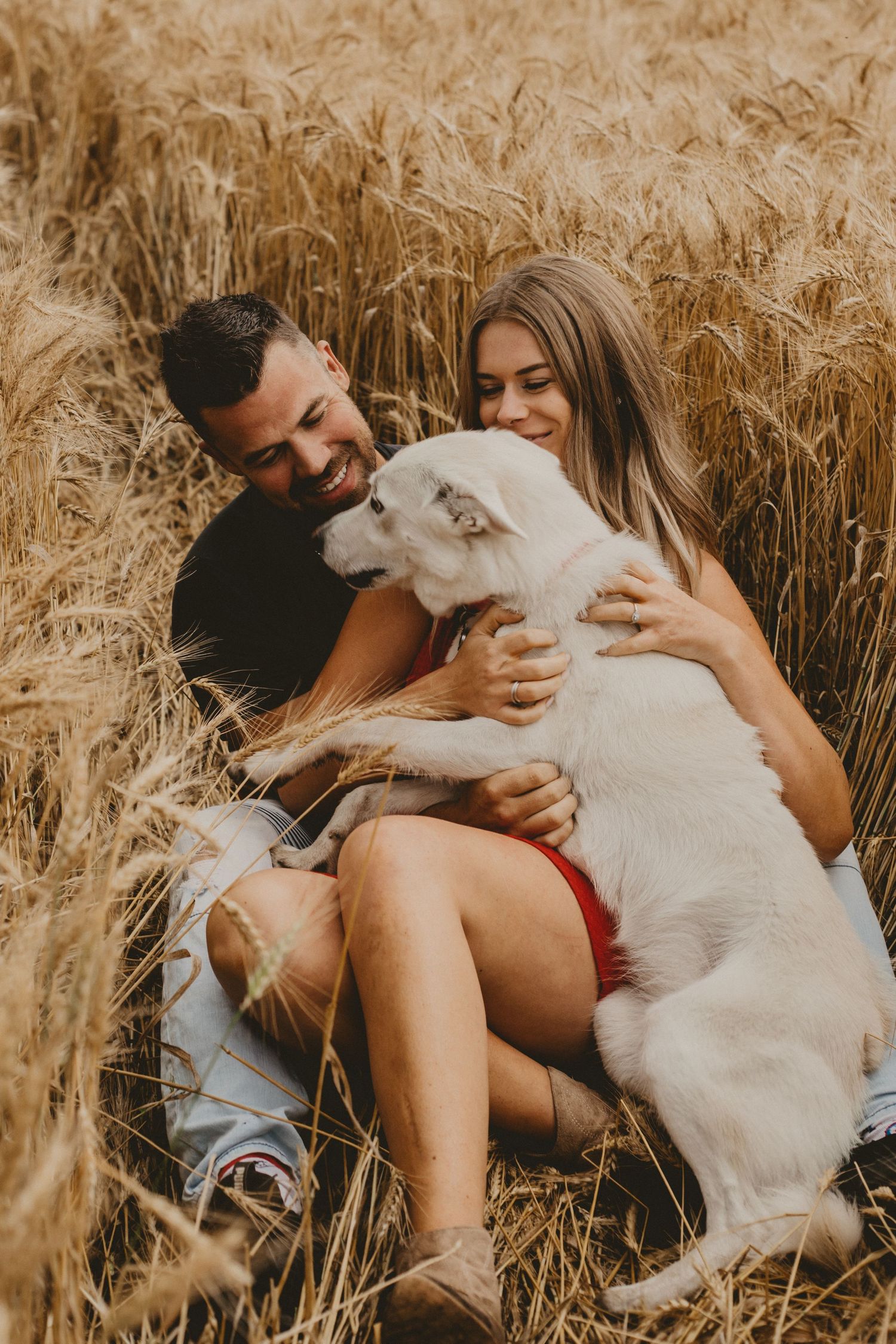 A couple shares a tender moment with their white dog in a golden wheat field.