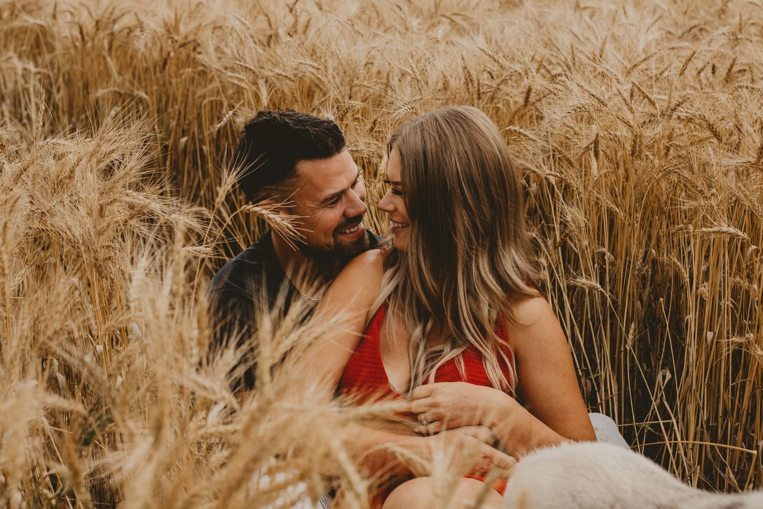 A romantic couple shares an intimate moment in a golden wheat field.