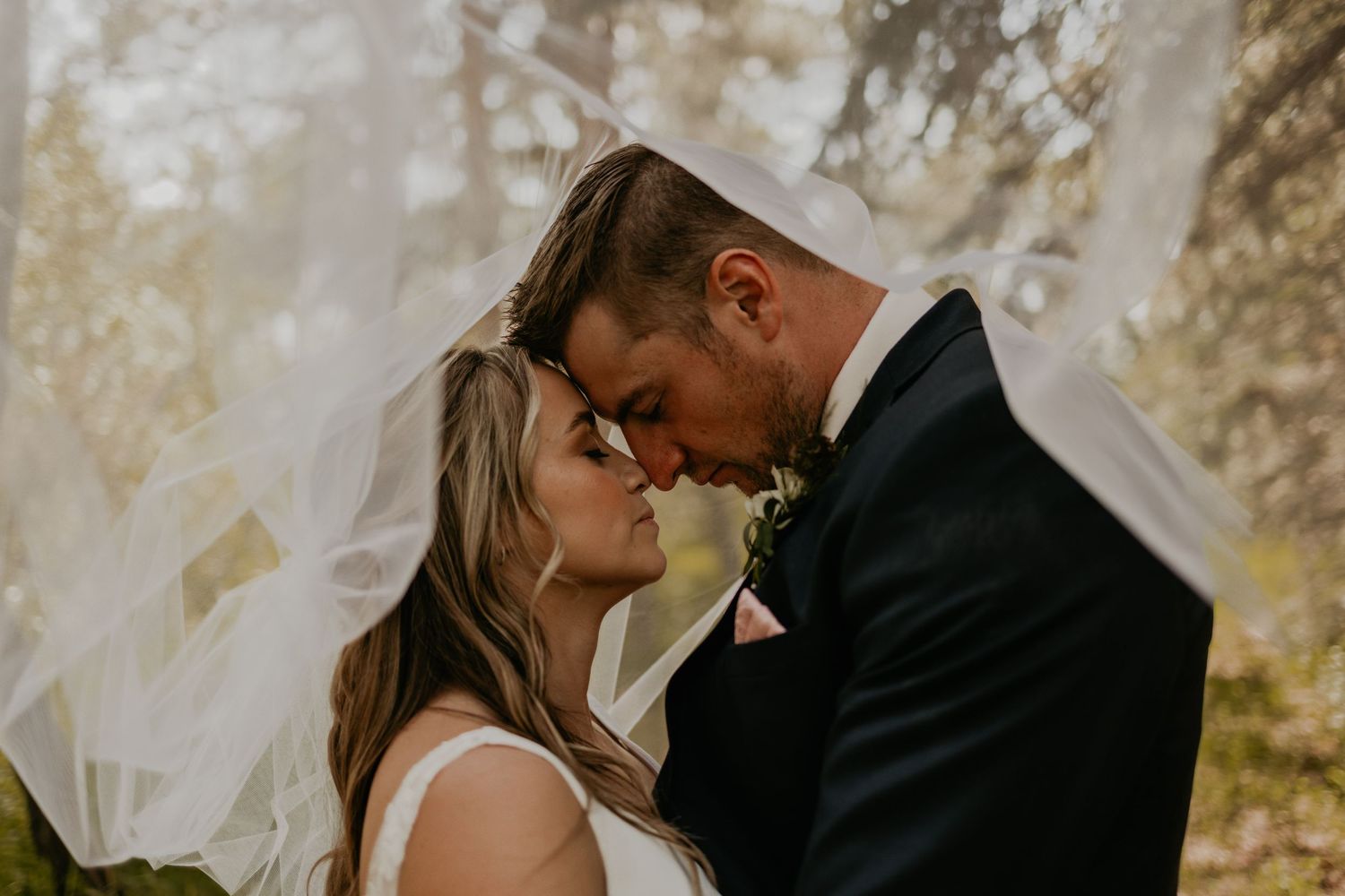 Tender wedding moment captured in golden sunlight among tall pine trees.