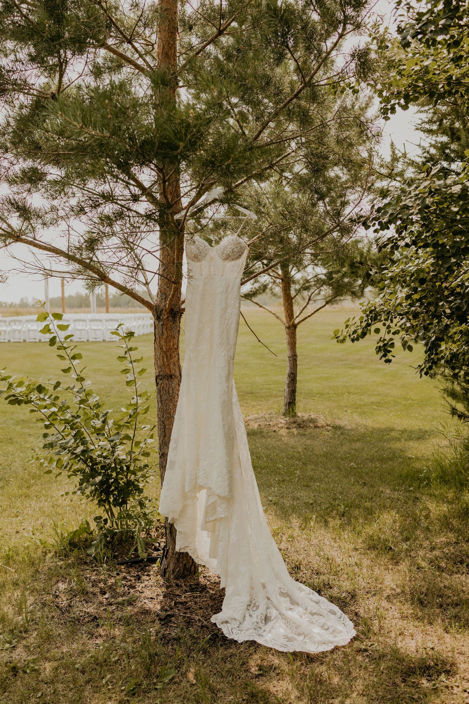 Elegant white wedding dress hanging from a pine tree in a sunny field.