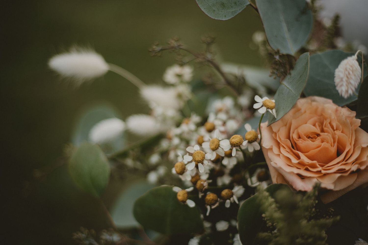 Peach rose and baby's breath bouquet with soft green eucalyptus leaves in moody lighting.