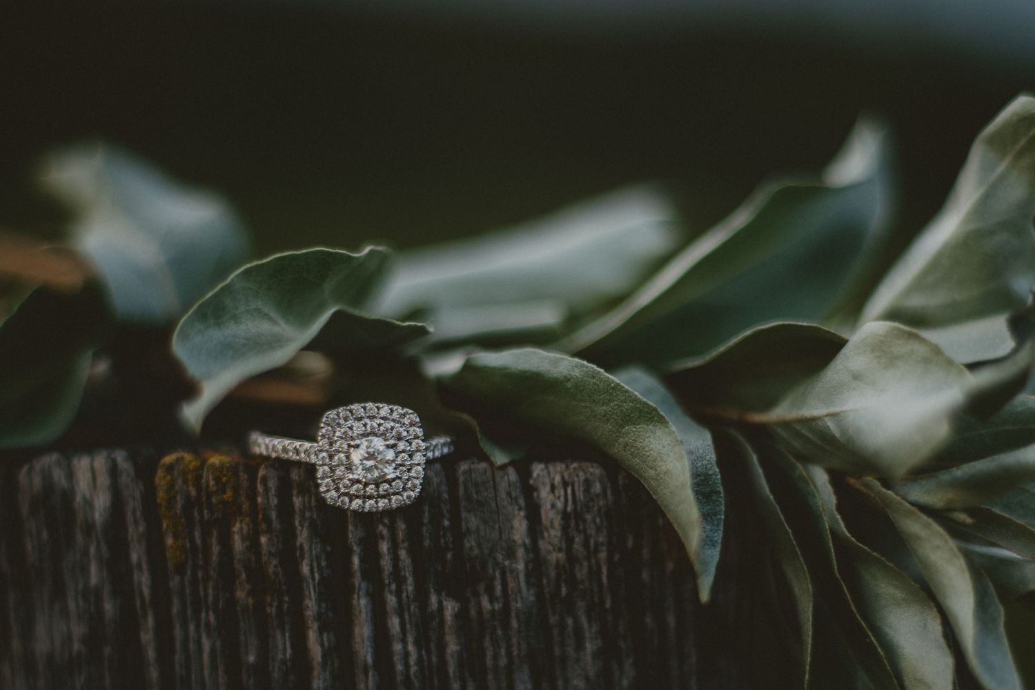 Diamond engagement ring displayed on rustic wood with green leaves.