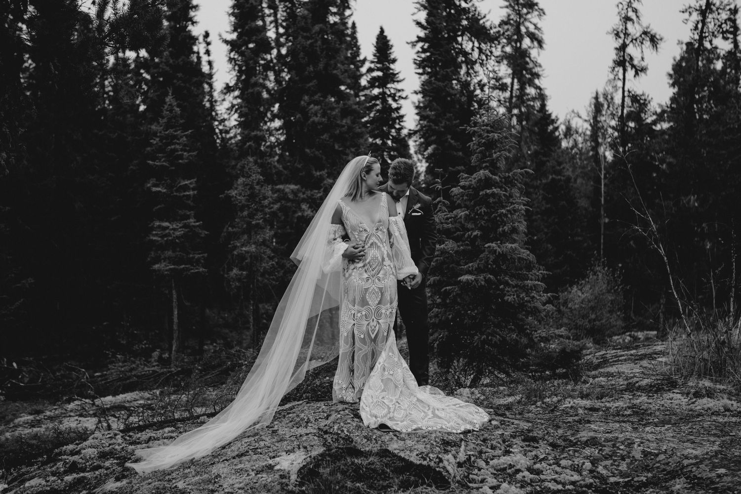 Elegant bride in lace gown with cathedral veil poses against forest backdrop.