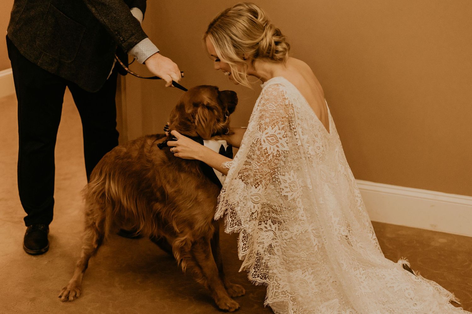A golden retriever wearing a bowtie gets pets while sitting next to a bride in a lace wedding dress.