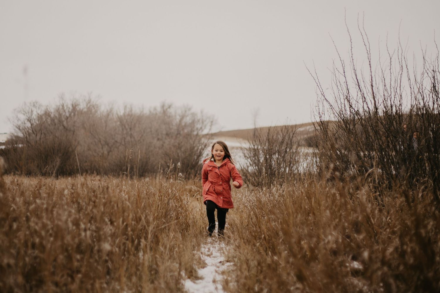 A bright winter scene showing someone in a red coat walking along a snowy path through tall grass.