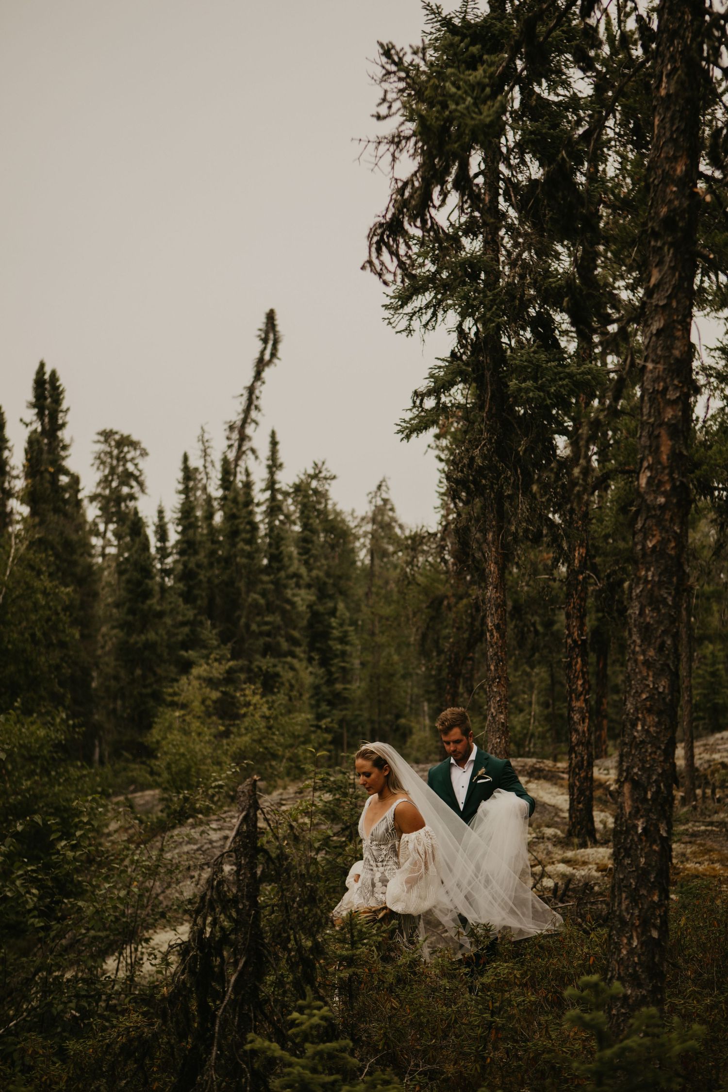 Wedding couple walks through wilderness area with tall evergreen trees.