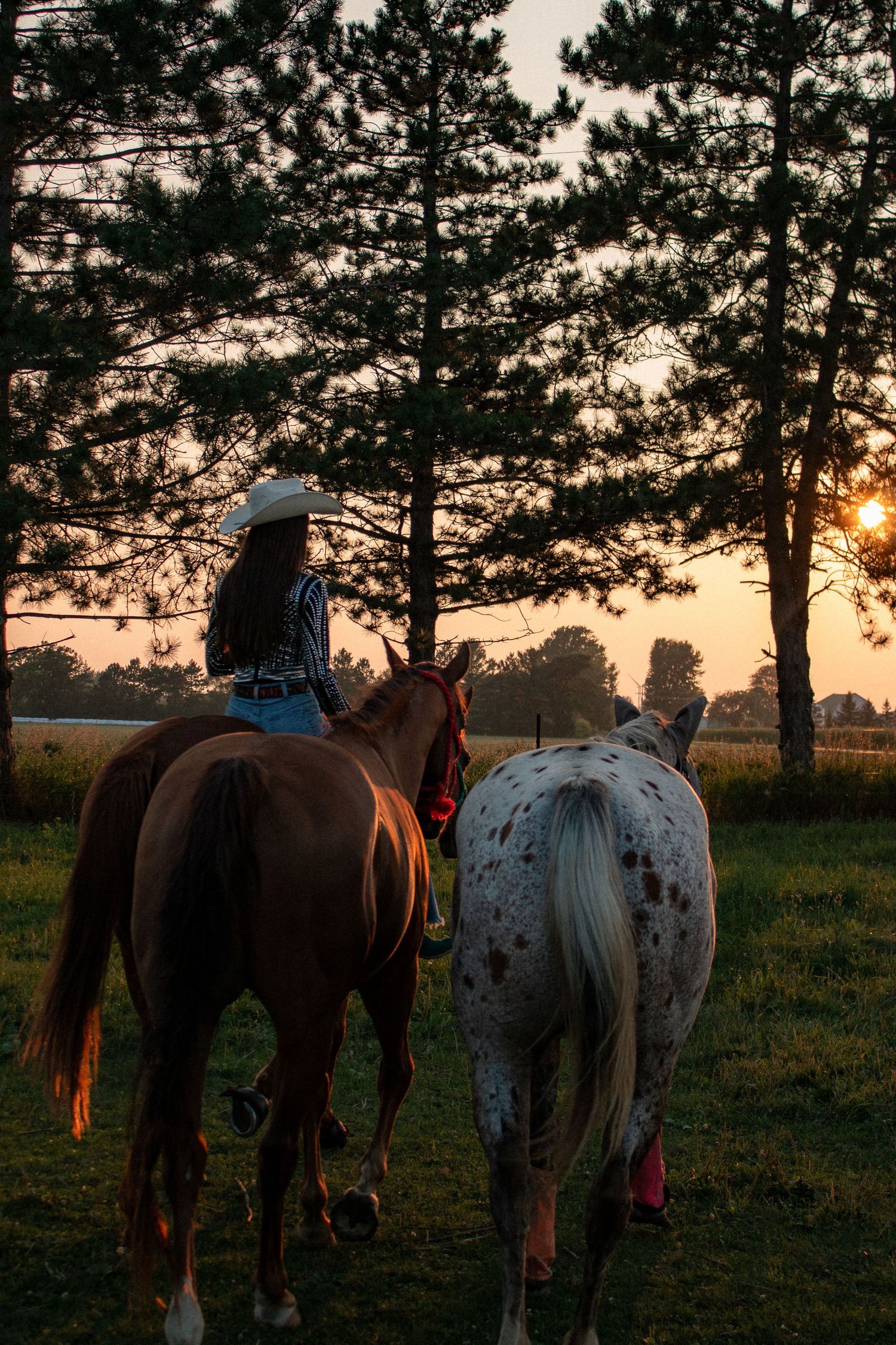 cowgirl horse portraits with horse sunset riding away into the sunset cowgirl photo session western photoshoot western lifestyle