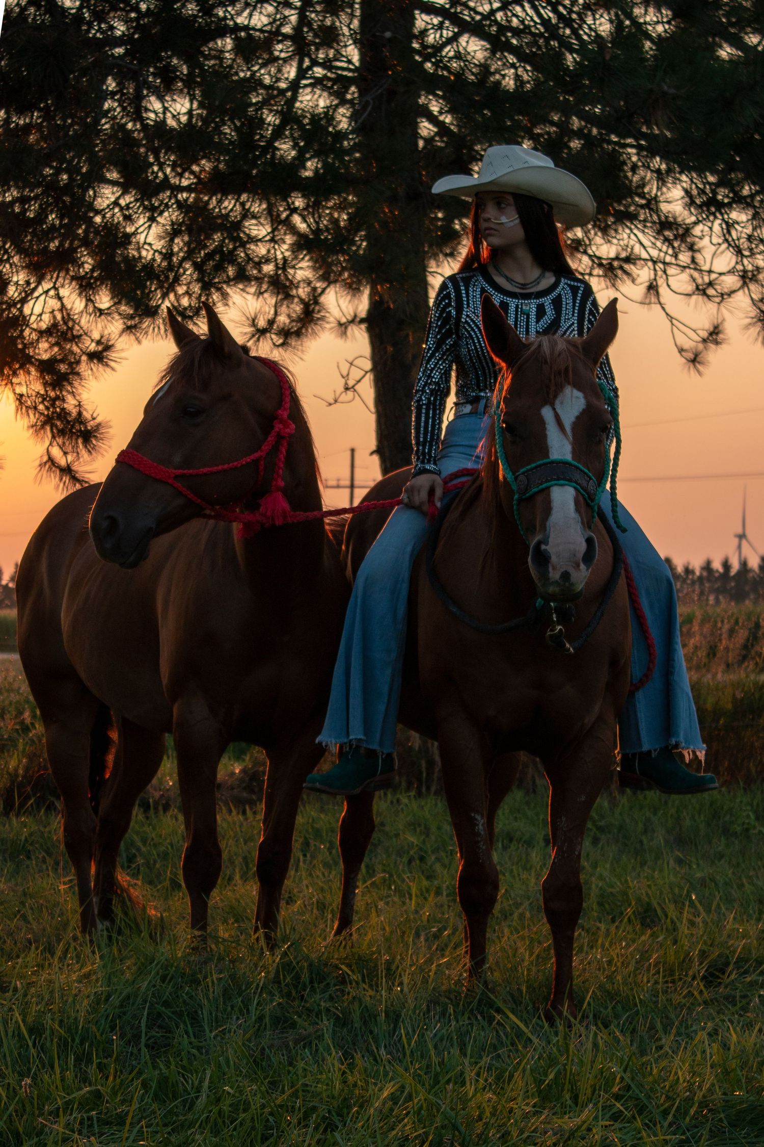 cowgirl horse portraits with horse sunset riding away into the sunset cowgirl photo session western photoshoot western lifestyle