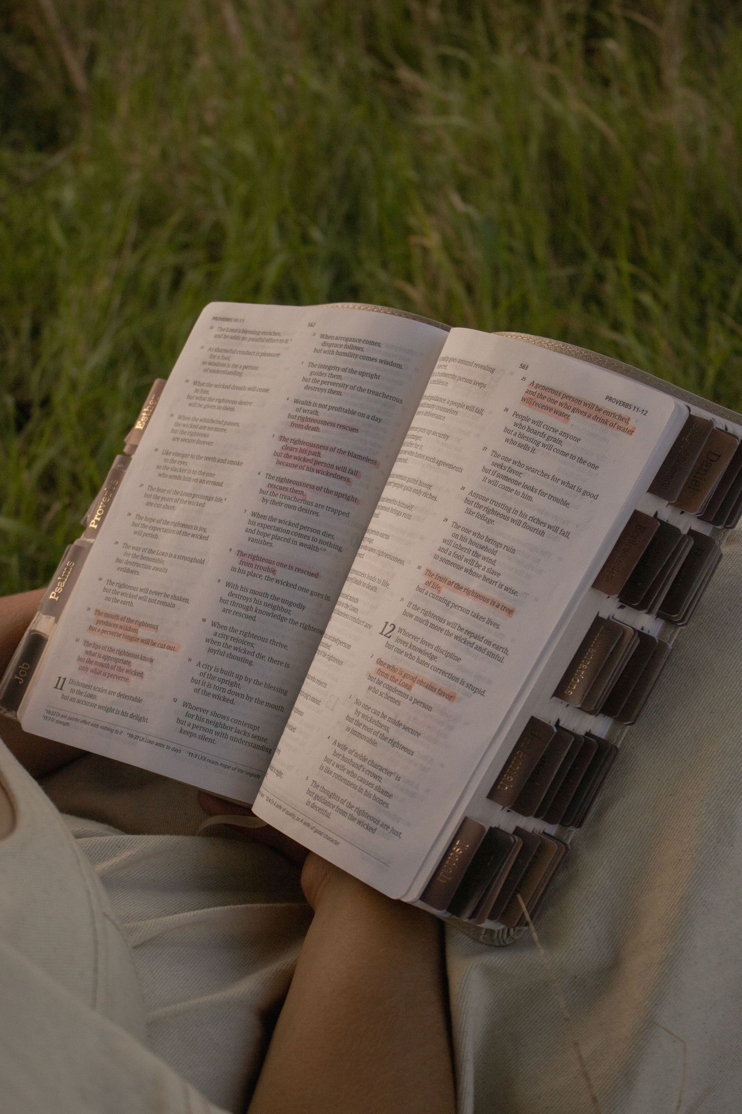 bible holy bible - bible photoshoot