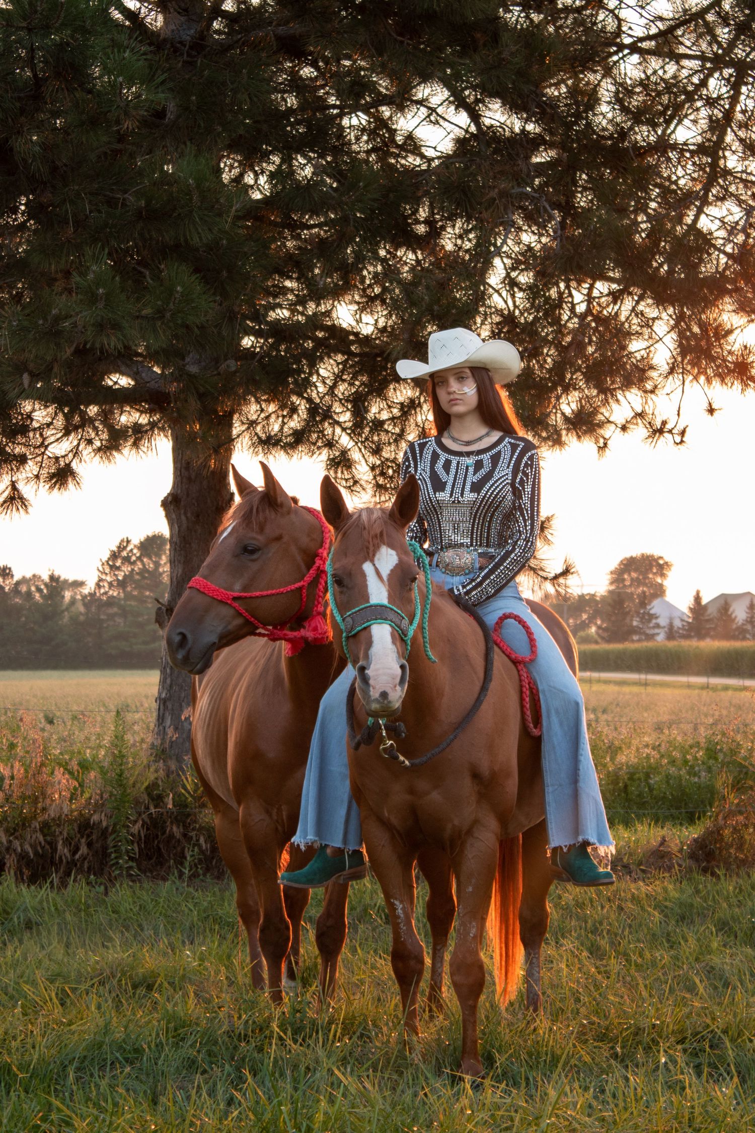 cowgirl horse portraits with horse sunset riding away into the sunset cowgirl photo session western photoshoot western lifestyle