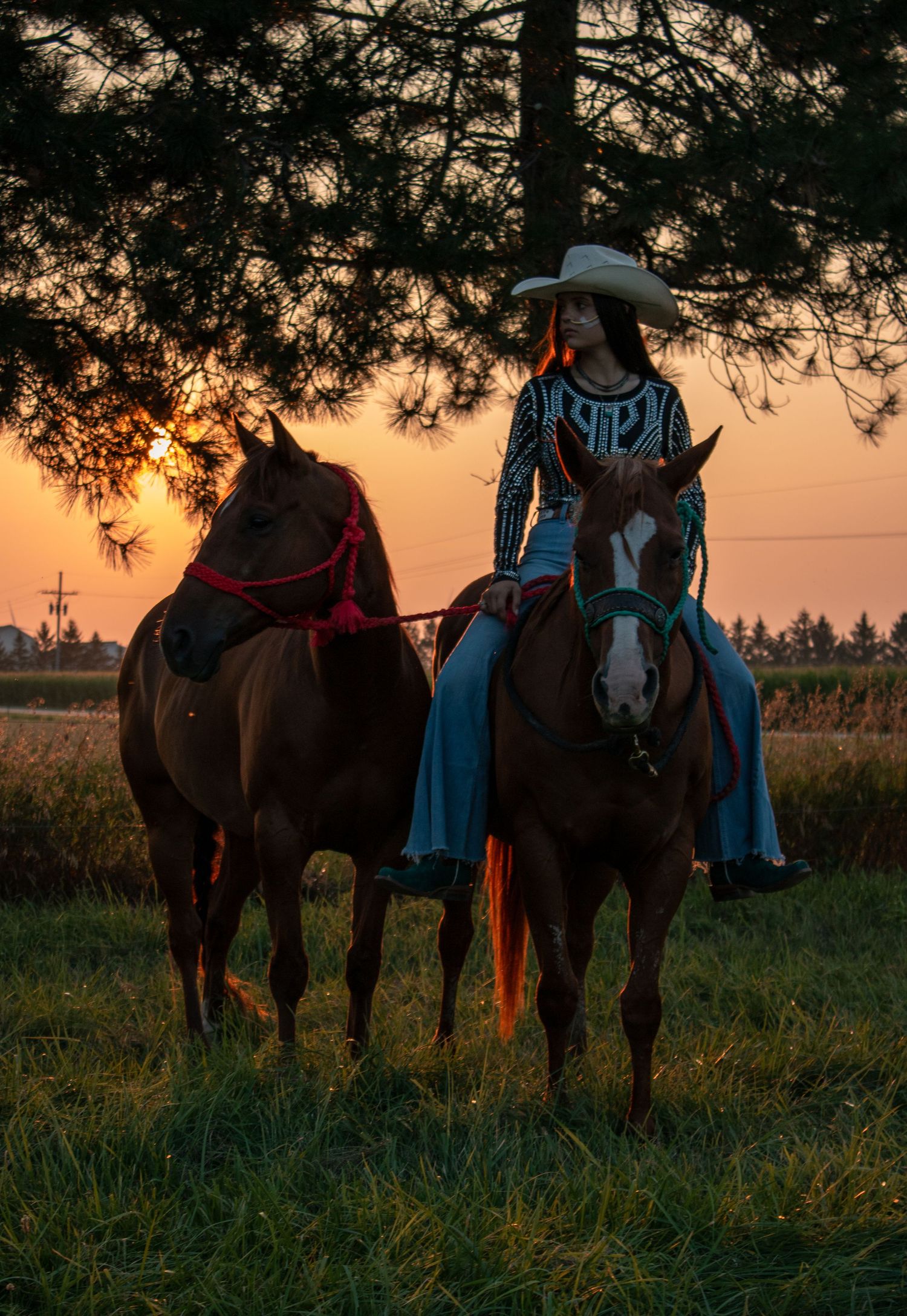 cowgirl horse portraits with horse sunset riding away into the sunset cowgirl photo session western photoshoot western lifestyle