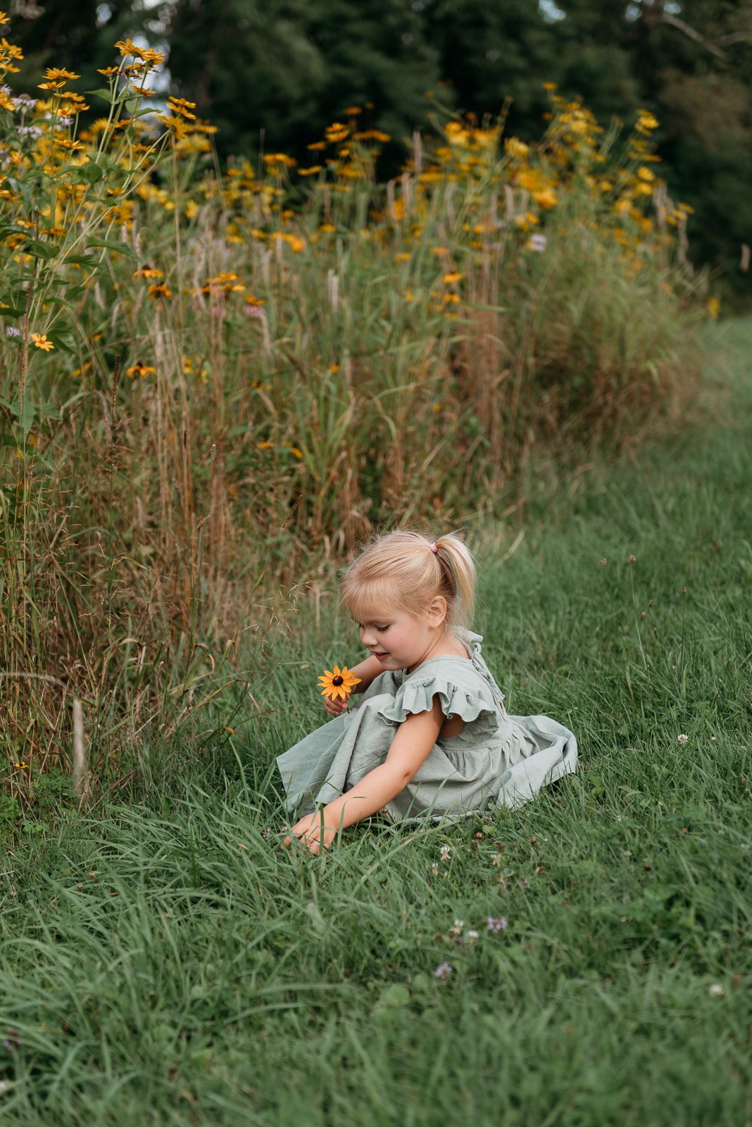 Child in gray dress picking flowers in a meadow with yellow wildflowers.