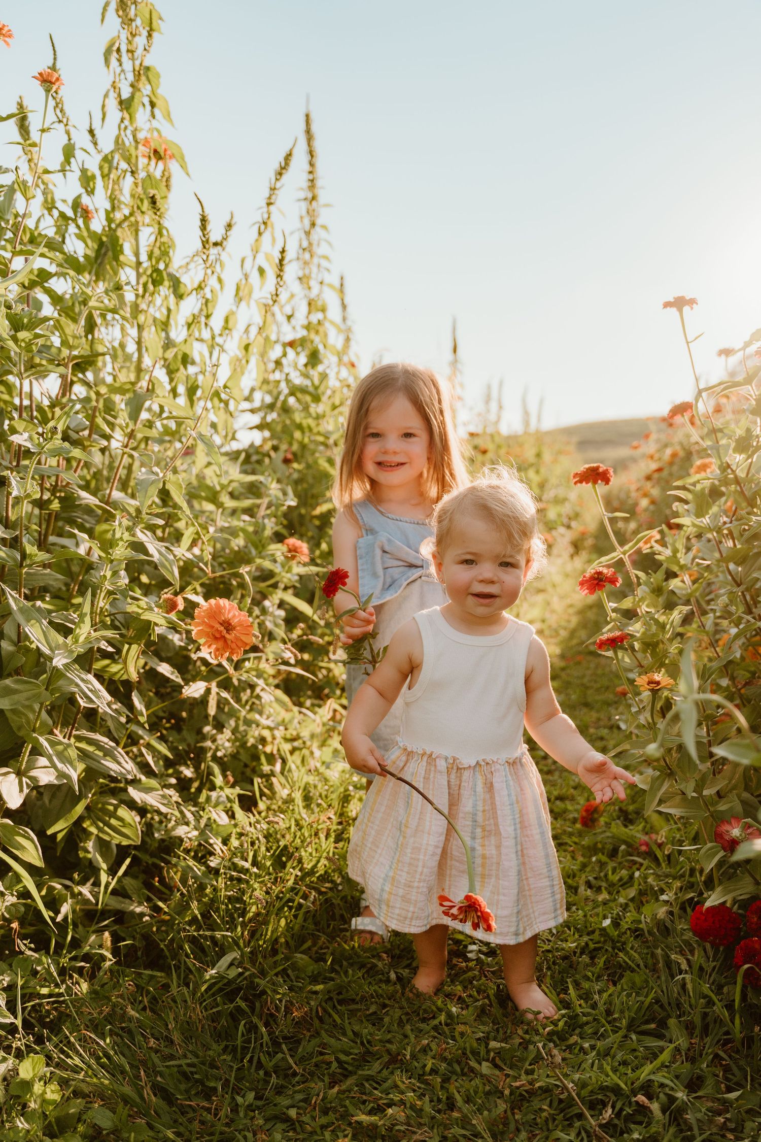 Two young girls in dresses stand among colorful zinnia flowers in a sunny garden, smiling joyfully.