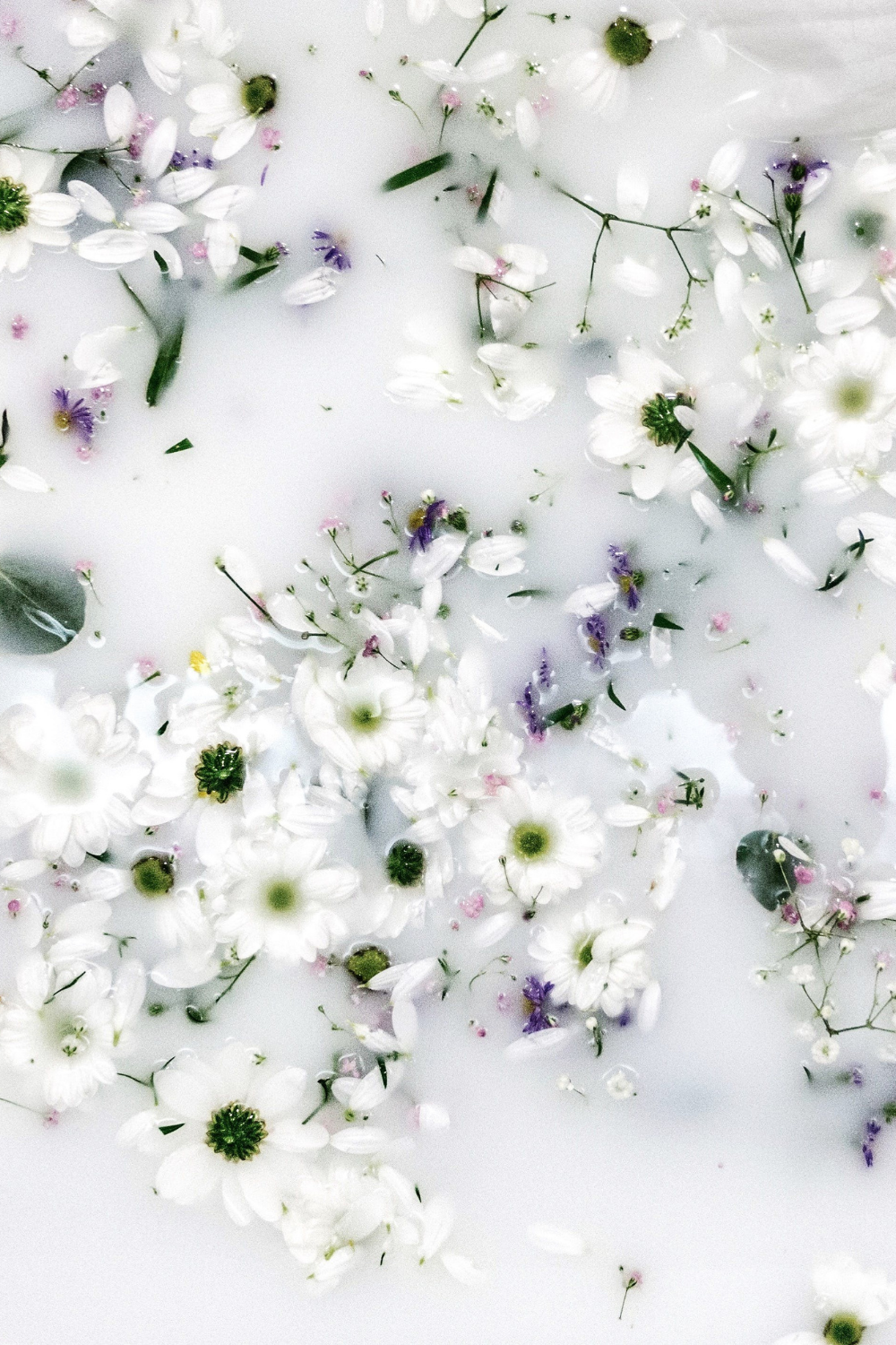 Delicate white and purple flowers scattered on white background creating ethereal layout.