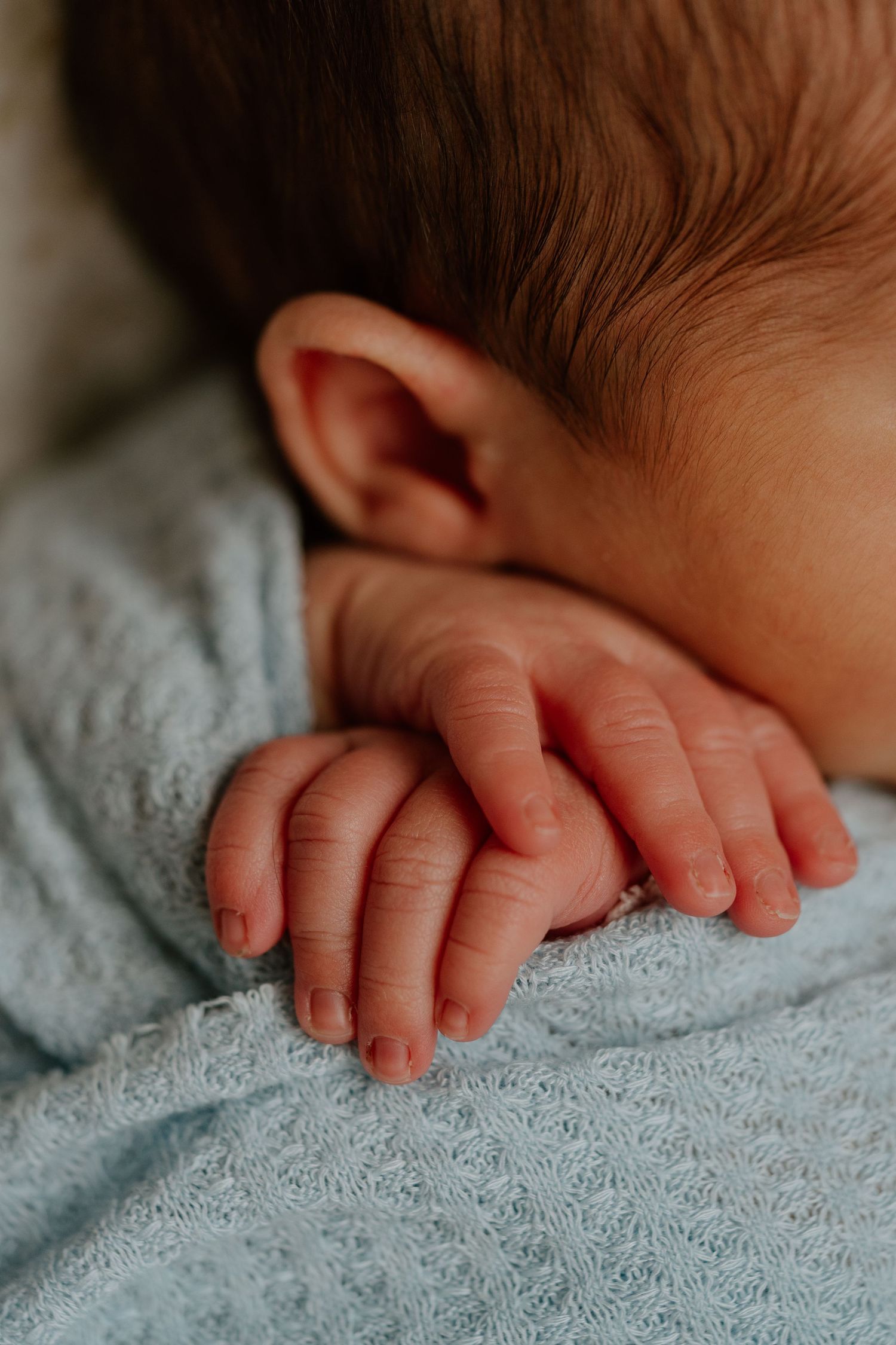 Close-up of tiny baby hands resting on soft blue textured fabric in gentle natural light.