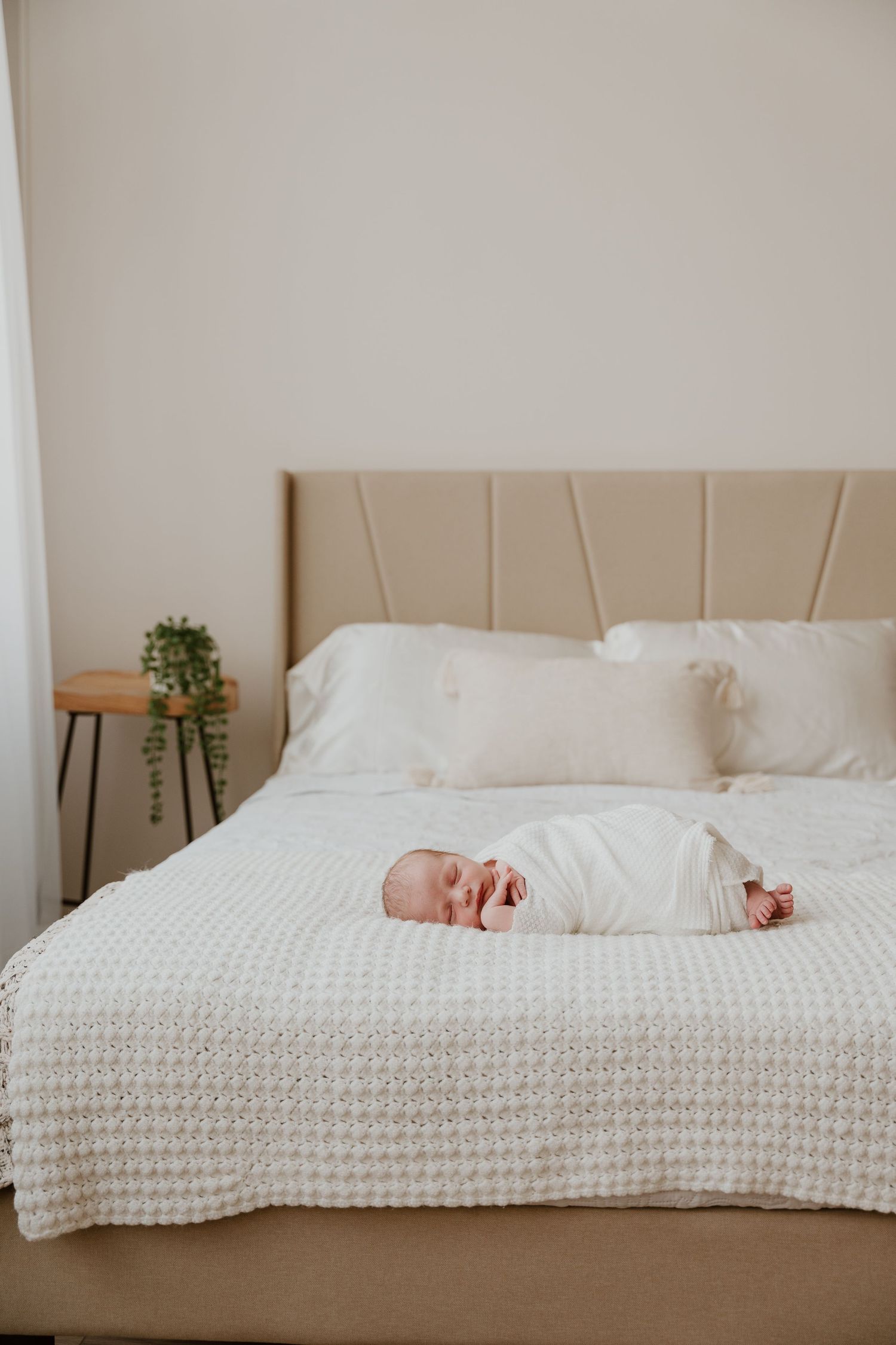 A newborn baby wrapped in white swaddle lies on a textured white blanket on a beige bed with house plant decor.