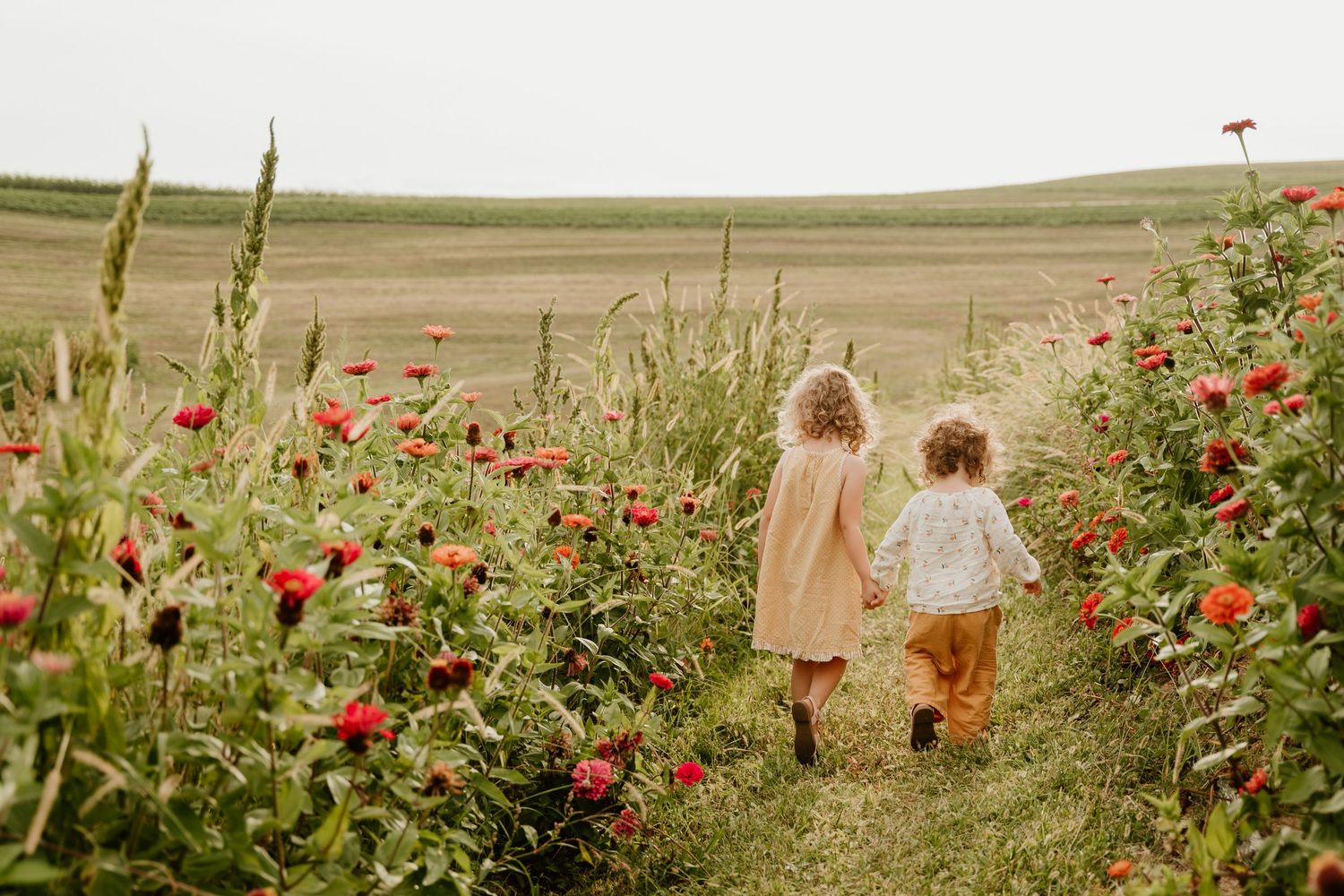 Two children walk hand-in-hand through a blooming red poppy field on a serene countryside path.