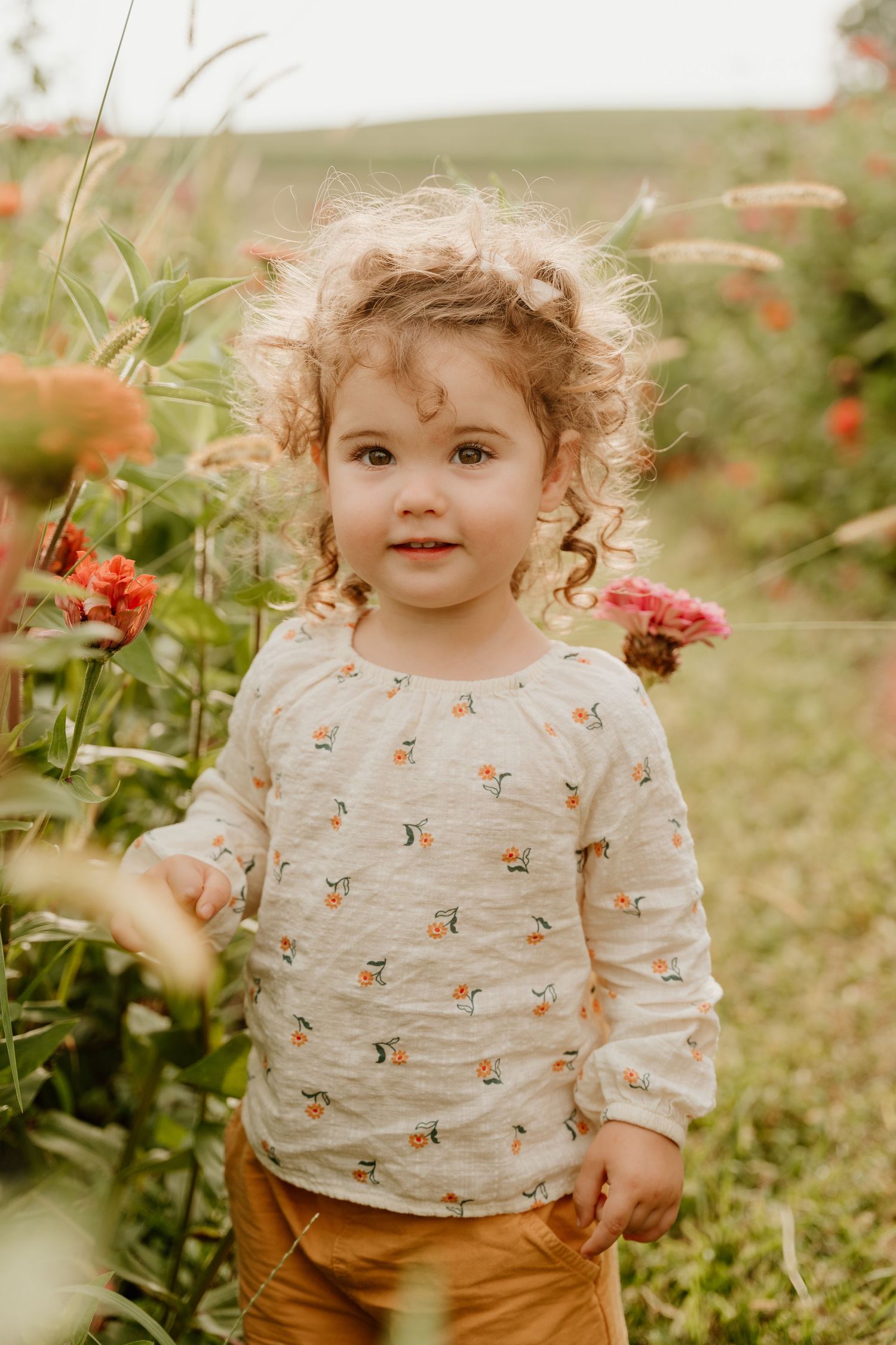 Curly-haired toddler girl in a floral top standing among colorful blooming flowers in a garden field.