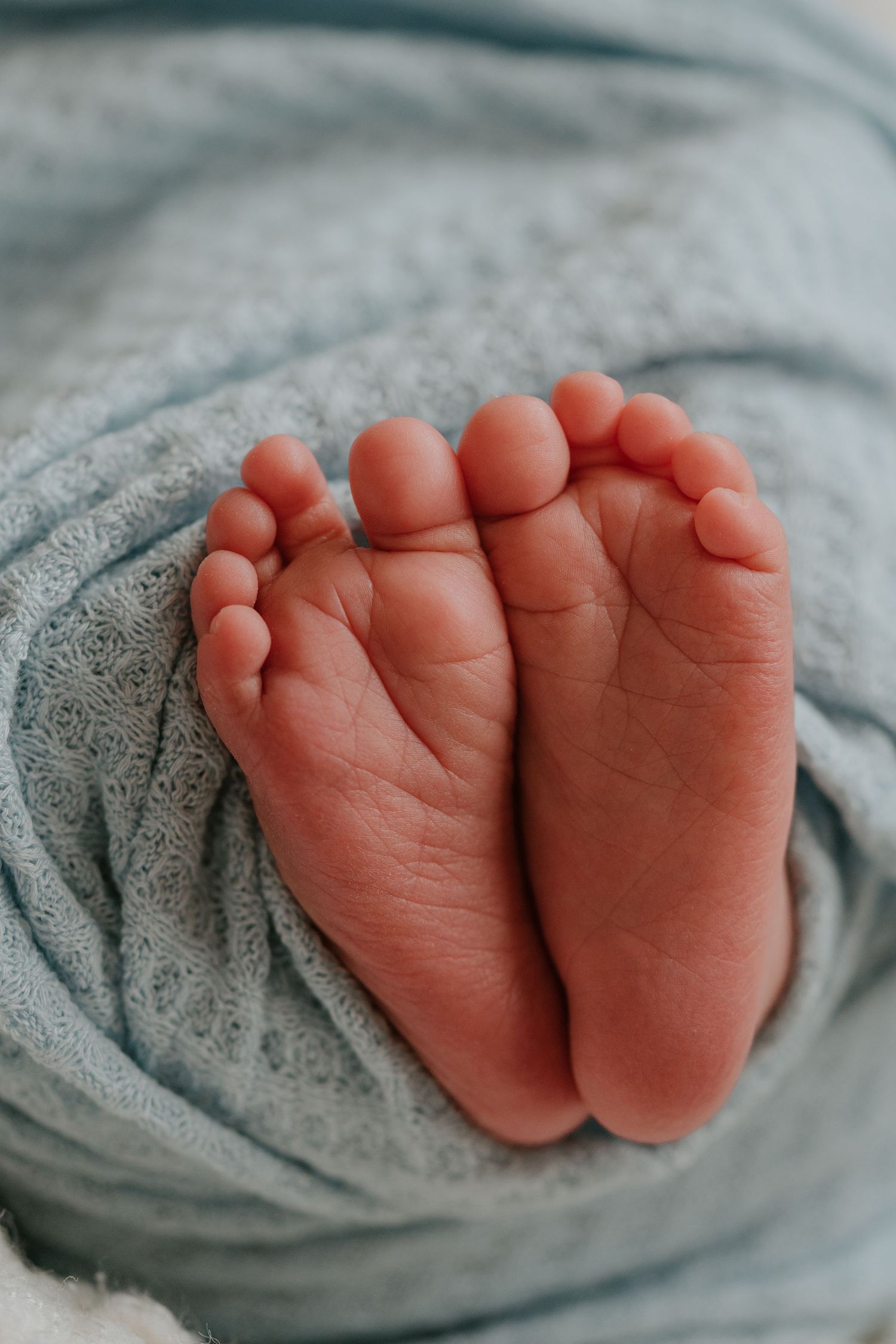 Four close-up photos of tiny newborn baby feet resting on soft gray blanket show delicate pink toes and wrinkled skin.