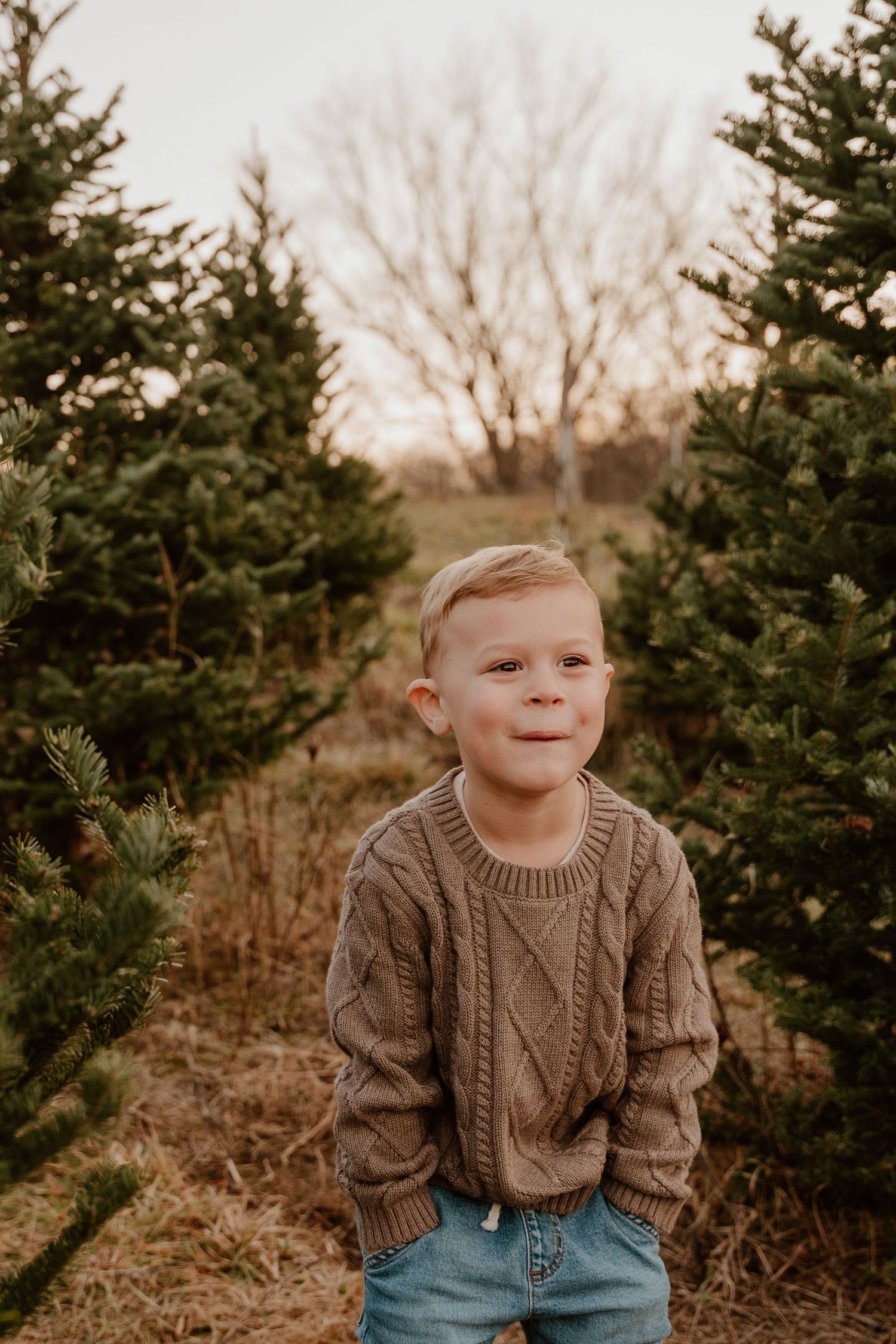 A young child in a brown knit sweater and jeans poses among evergreen trees in a rustic outdoor setting.
