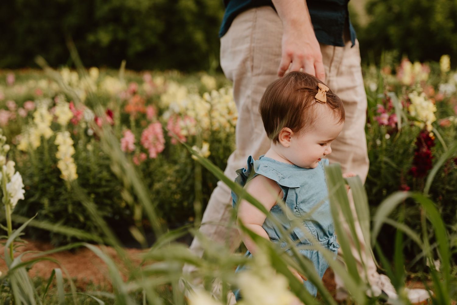 A toddler in a blue outfit holds an adult's hand while standing among colorful wildflowers in a garden.